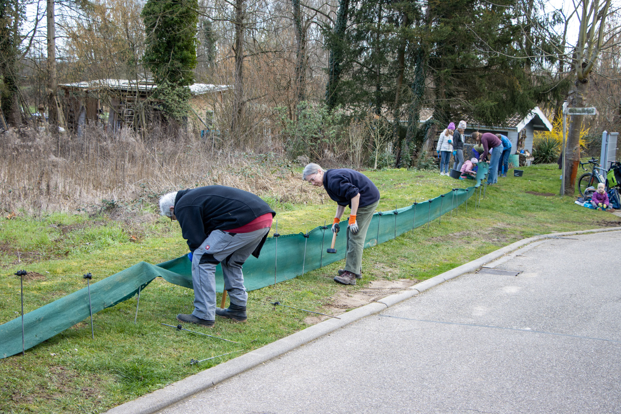 Einhängen des Zauns in die Haltestangen (Foto: B. Budig)