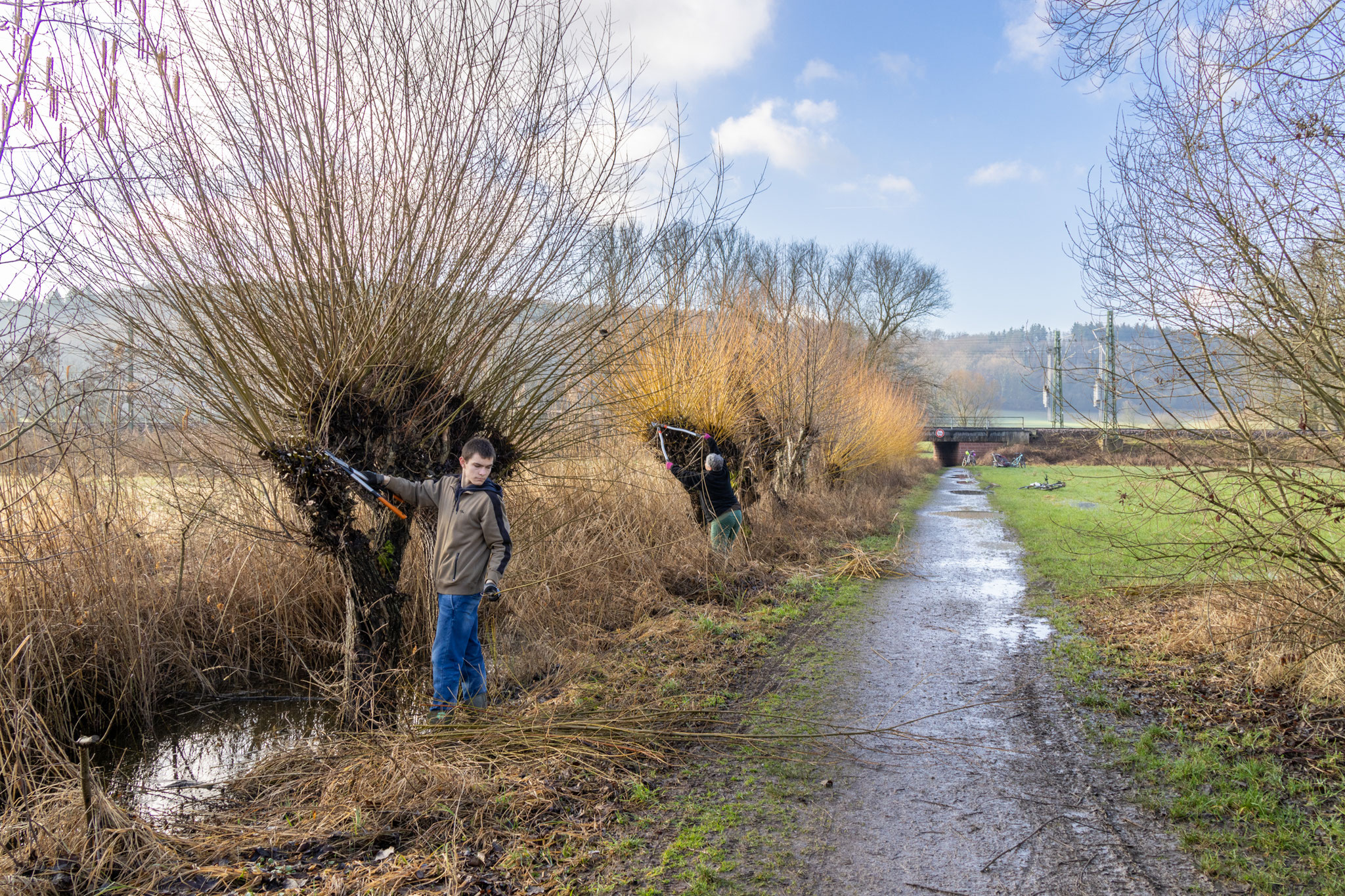 Rückschnitt der Kopfweiden am Bruchraingraben (Foto: B. Budig)