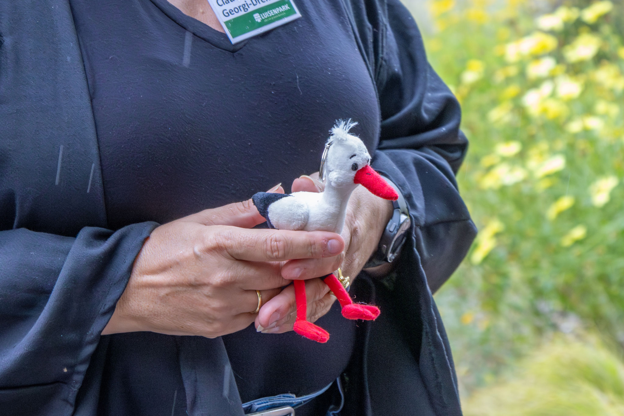 Ein Weißstorch symbolisiert Schutz für die Familie (Foto B. Budig)