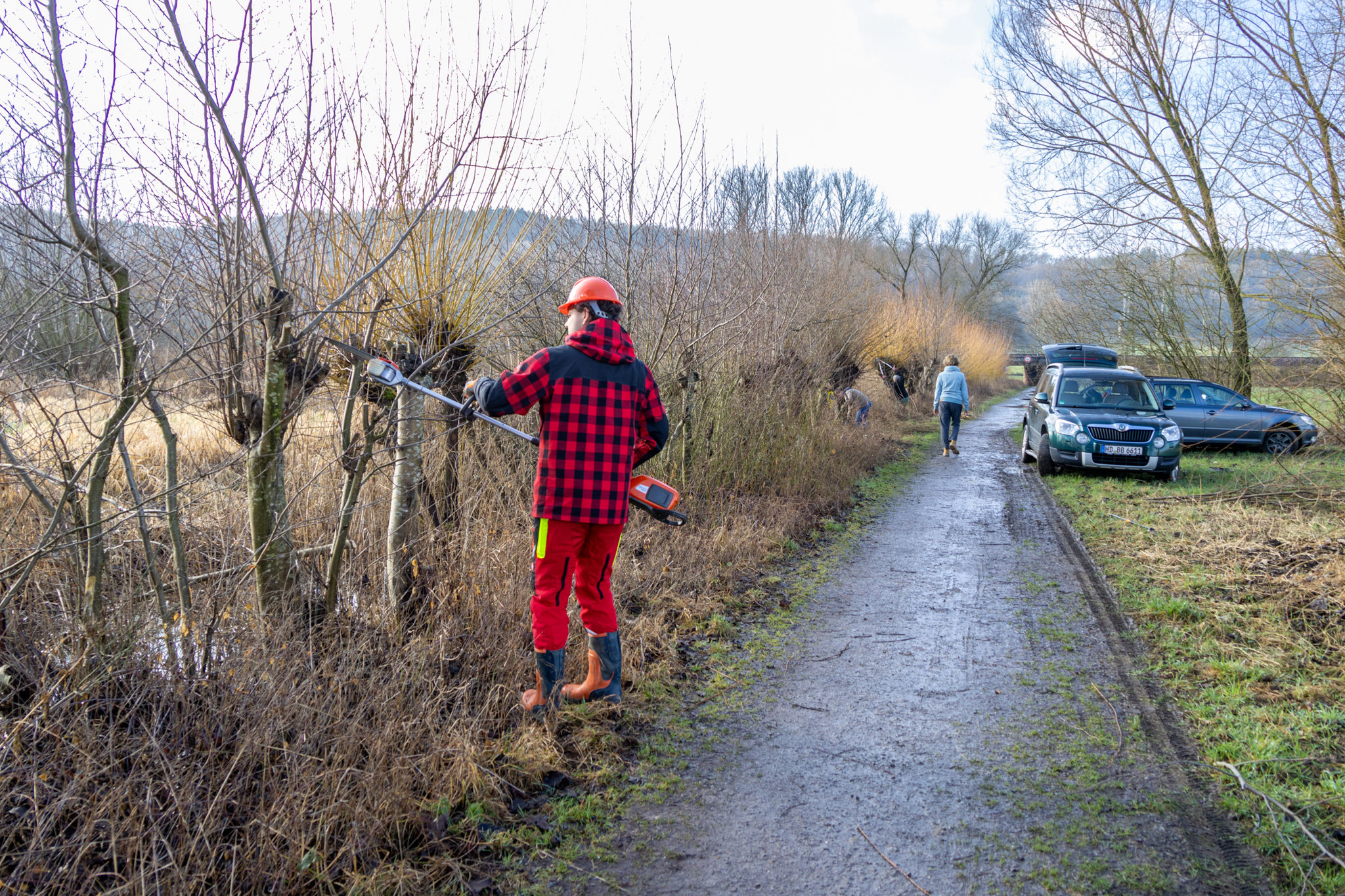 Hochentaster im Einsatz (Foto: B. Budig)