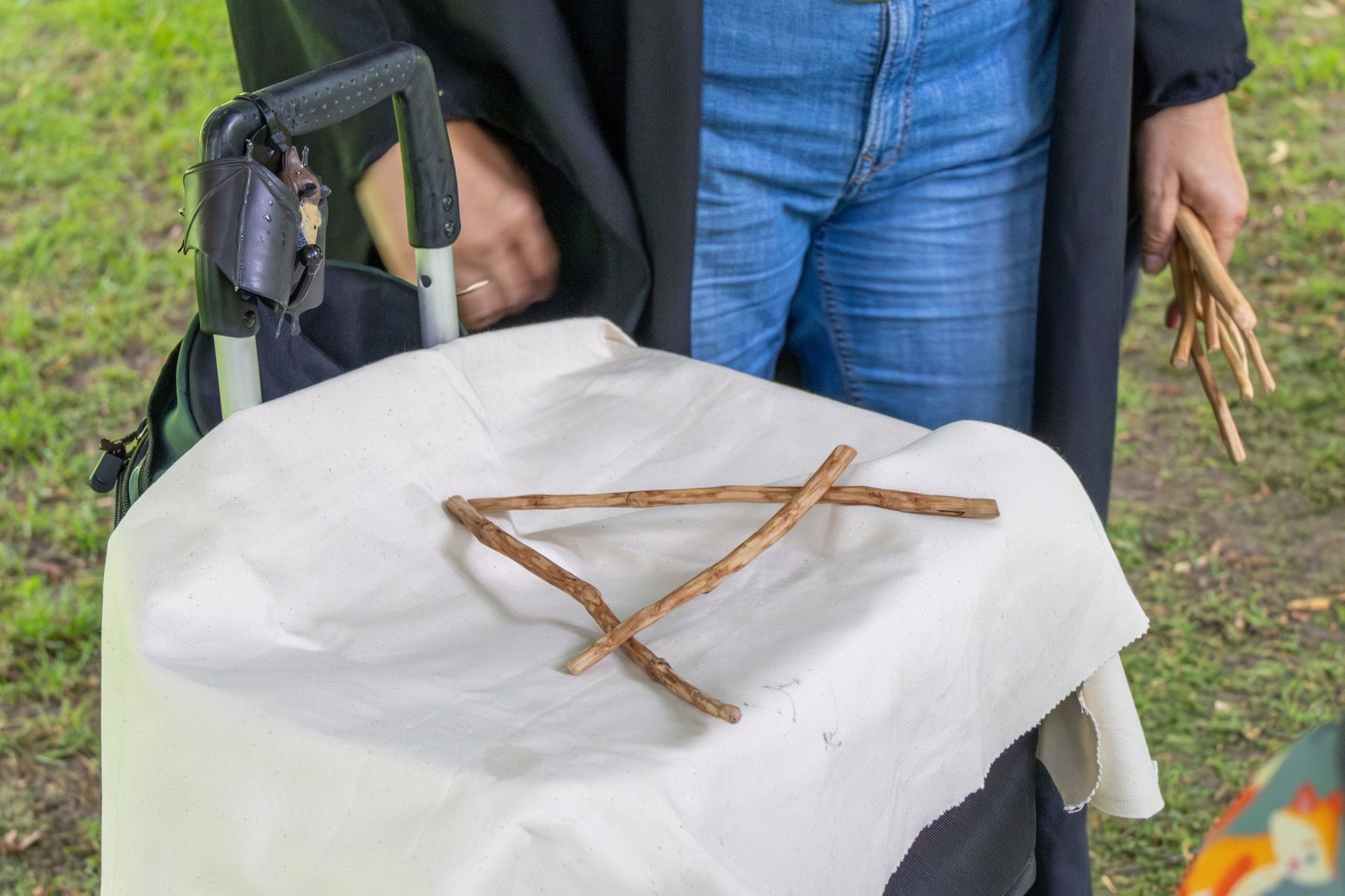 ... liegt in den "Stäben aus Buche" (Foto: B. Budig)