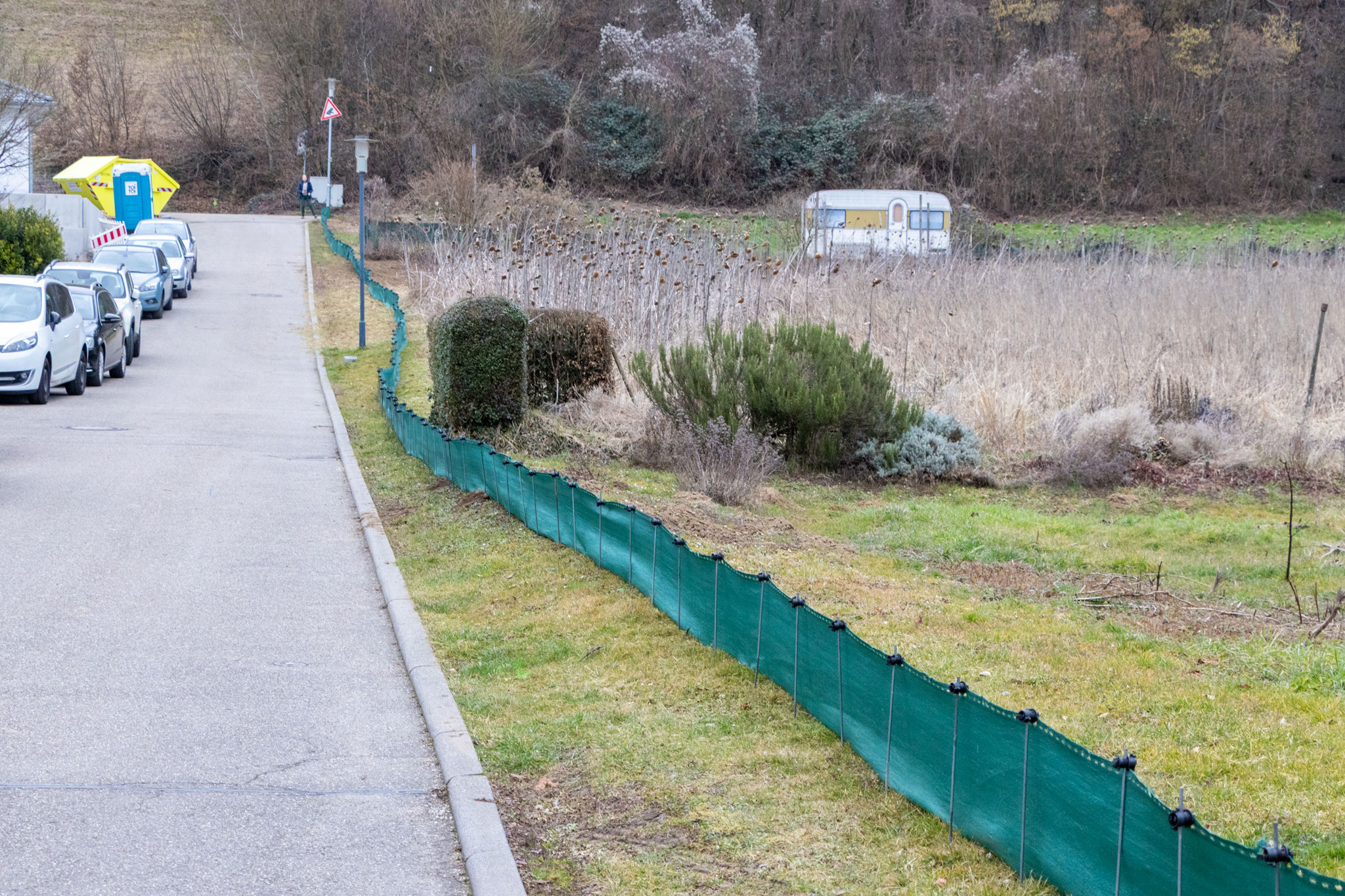 Der Amphibienzaun in der Erlenstraße steht! (Foto: B. Budig)