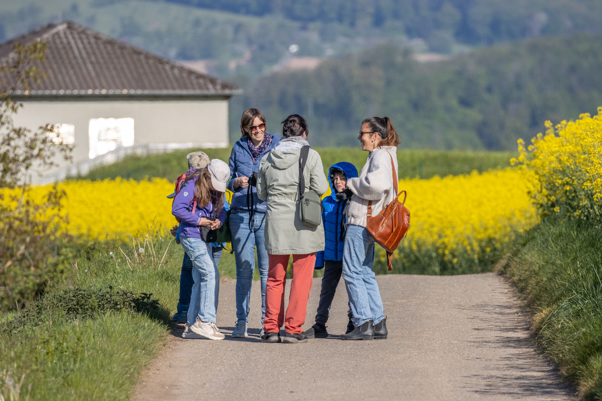 Beobachtungen am Feldrand (Foto: B. Budig)