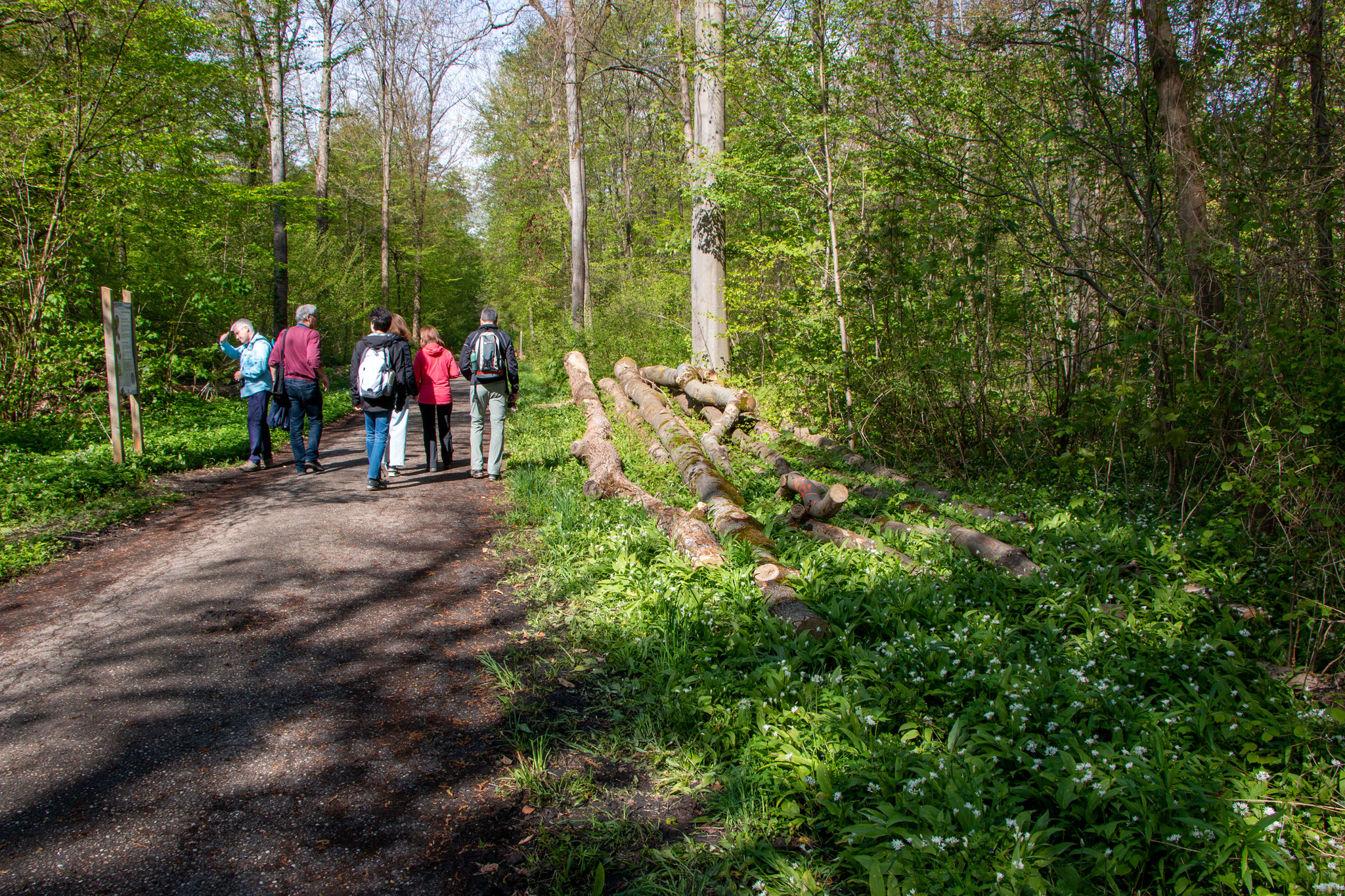 Ketscher Allee (Foto: B. Budig)