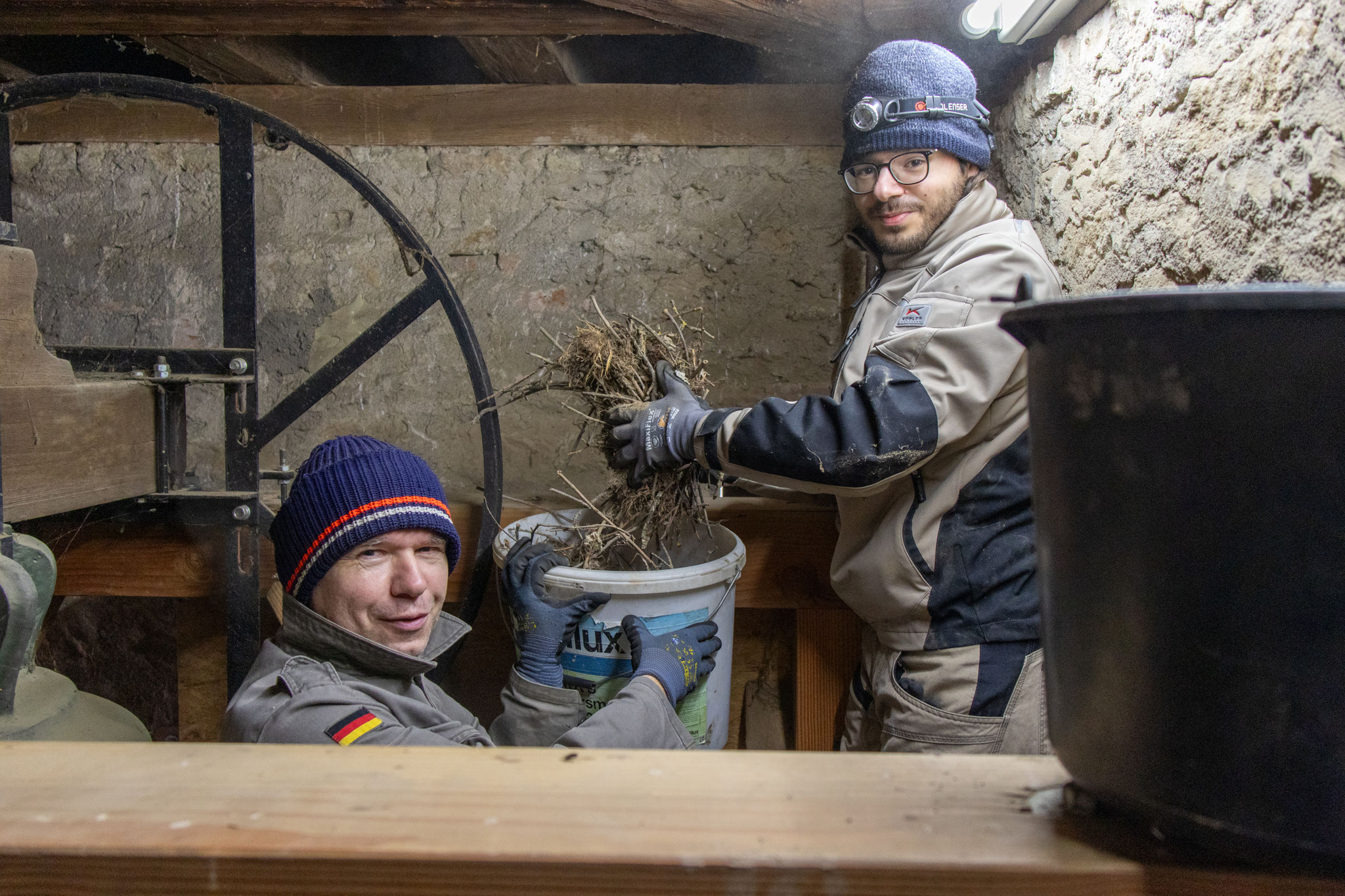 Zu zweit wird das Nistmaterial entfernt (Foto: H. Budig)