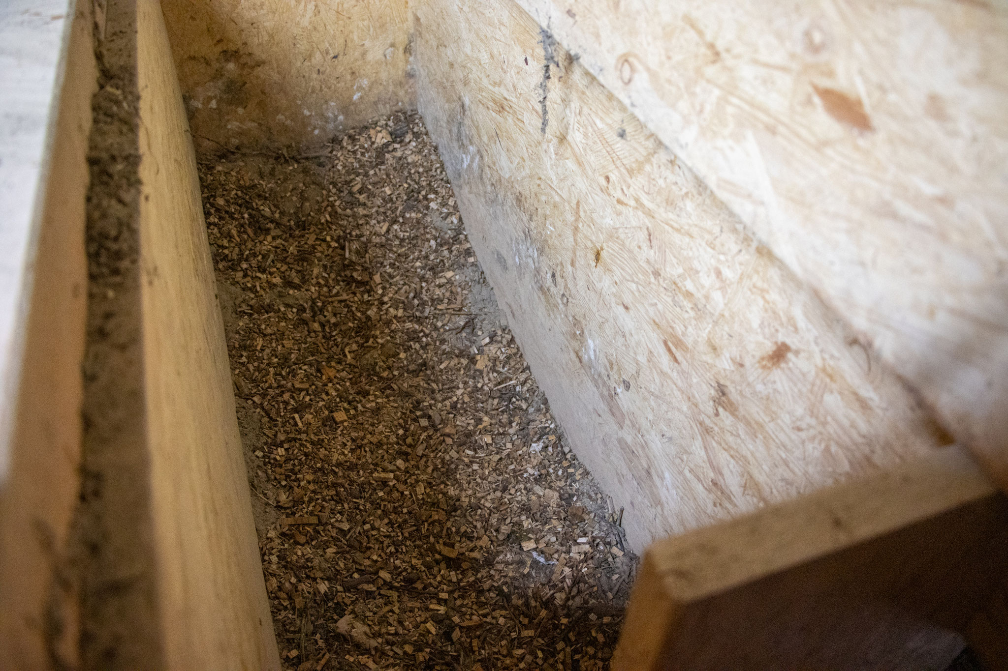 gereinigter Nistkasten im Glockenturm (Foto: H. Budig)