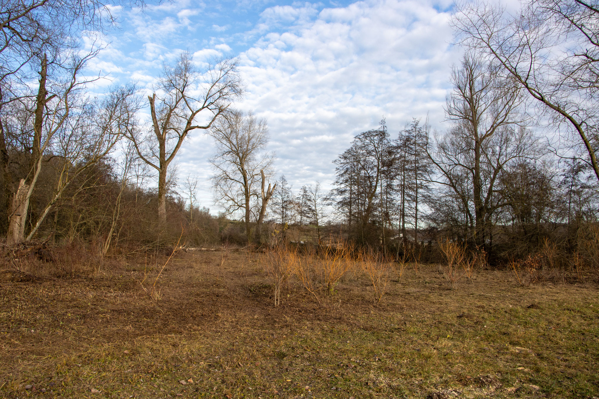 Die Wiese wurde freigeschnitten.