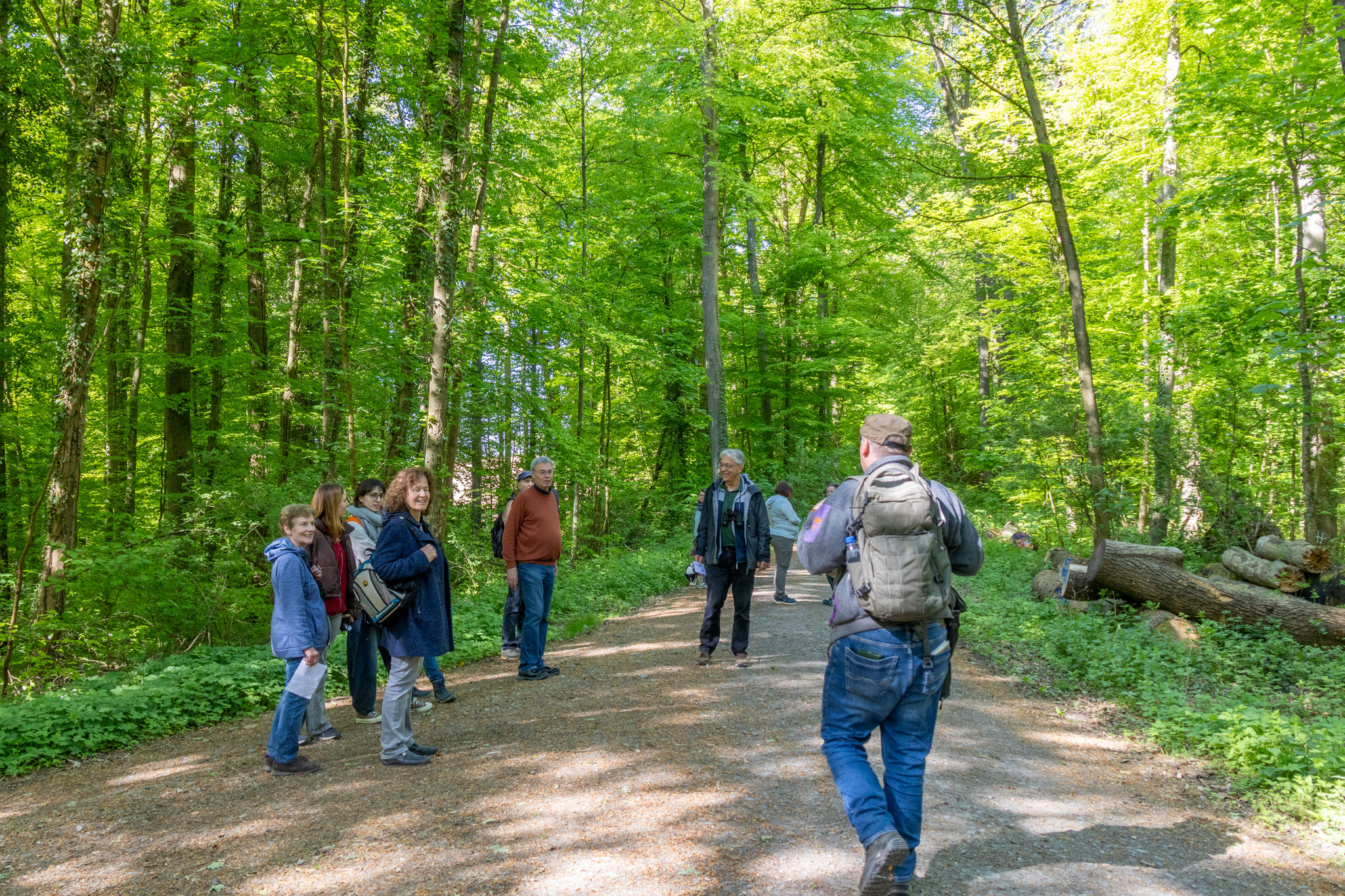 Gruppentreffen im Buchenwald (Foto: H. Budig)