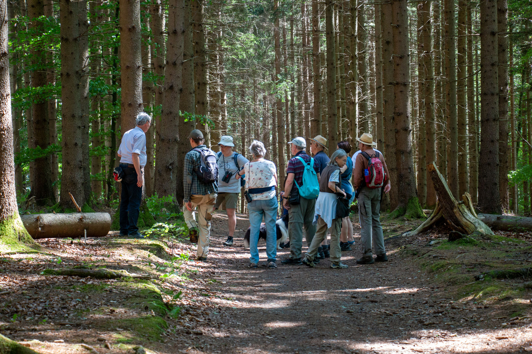 Unterwegs im Bannwald (Foto: B. Budig)