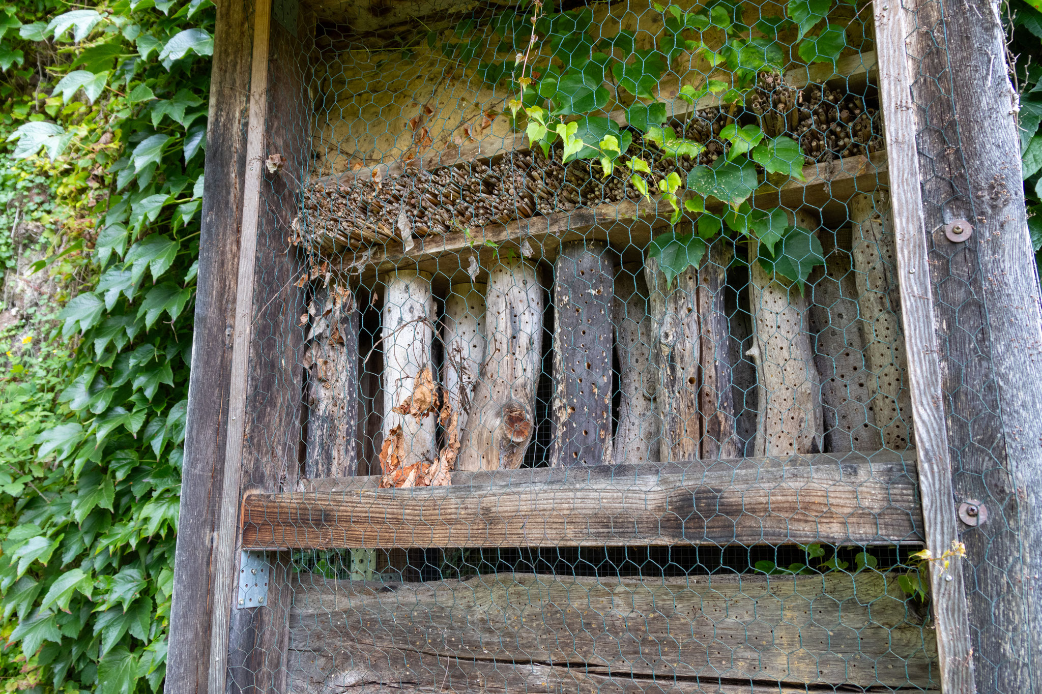 Wildbienennisthilfe im Duft- & Kräutergarten (Foto: B. Budig)
