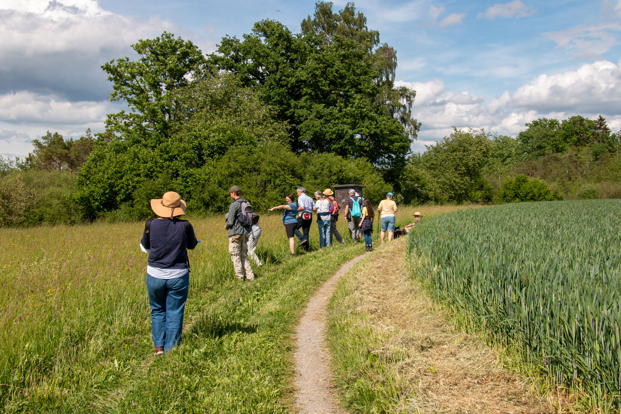 Eine Wiese voller Schmetterlinge (Foto: B. Budig)