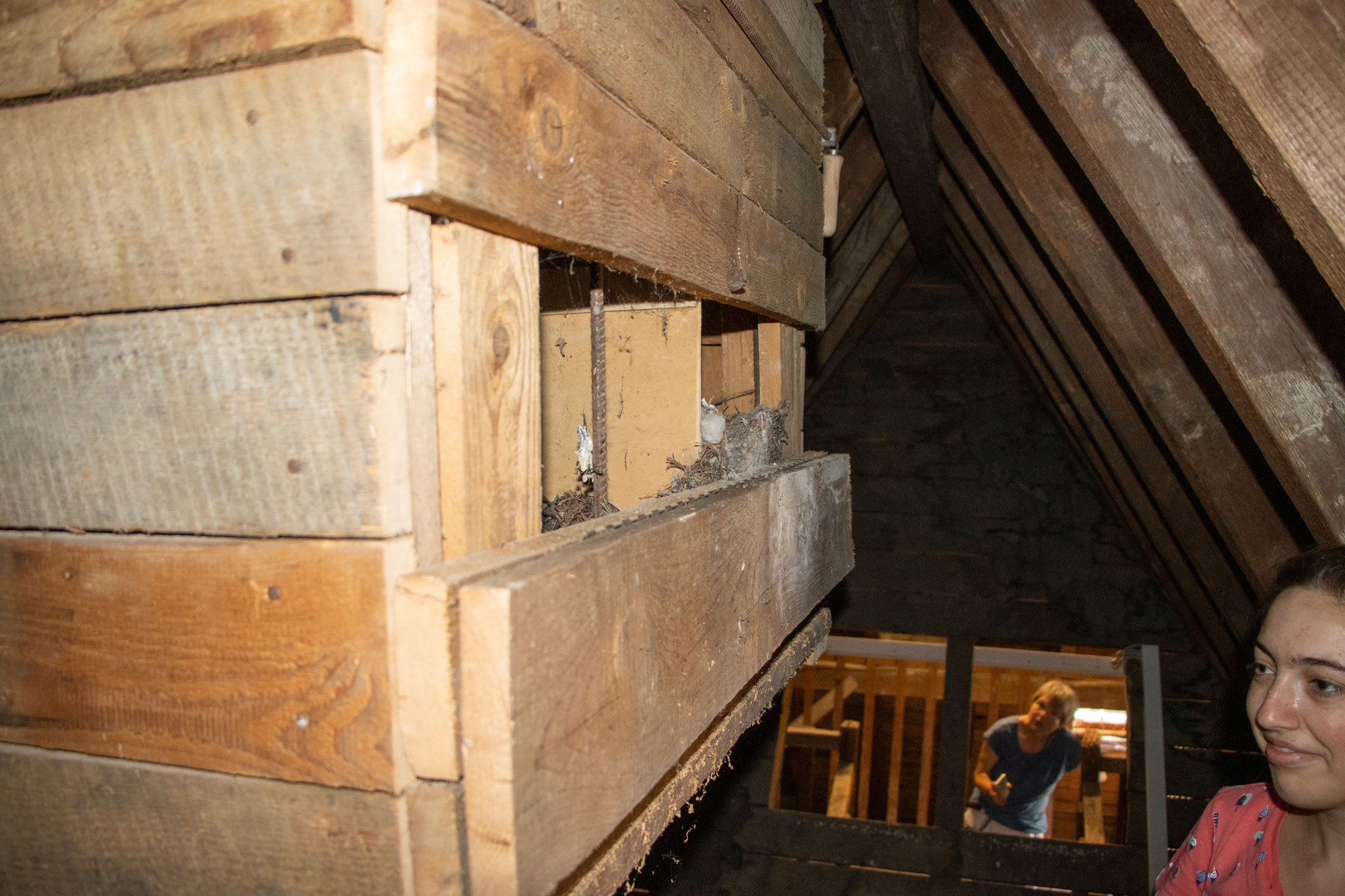 Nistkasten mit geöffnetem Guckschlitz (Foto: B. Budig)