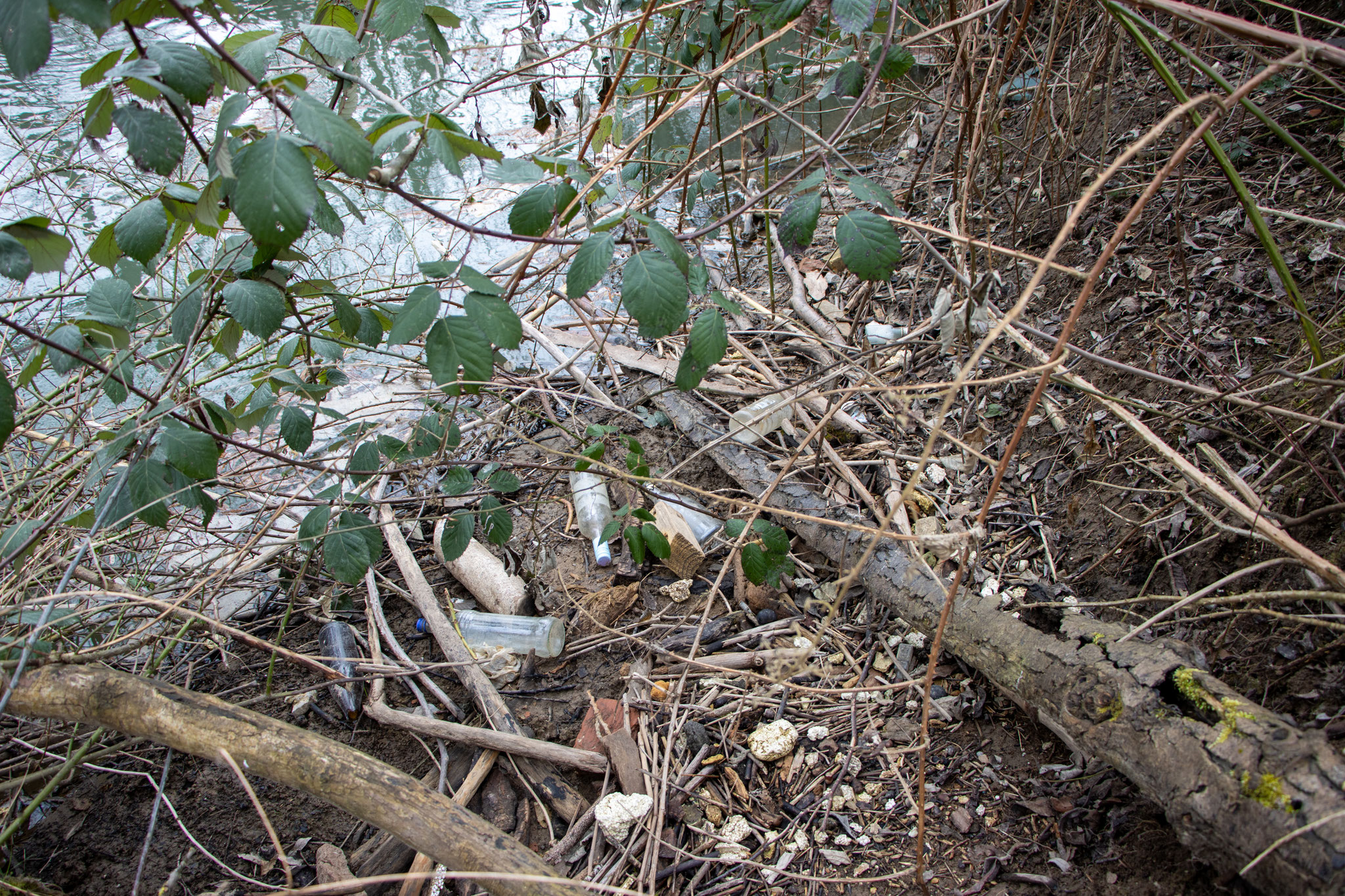 Angeschwemmter Müll an der Elsenz (Foto: B. Budig)