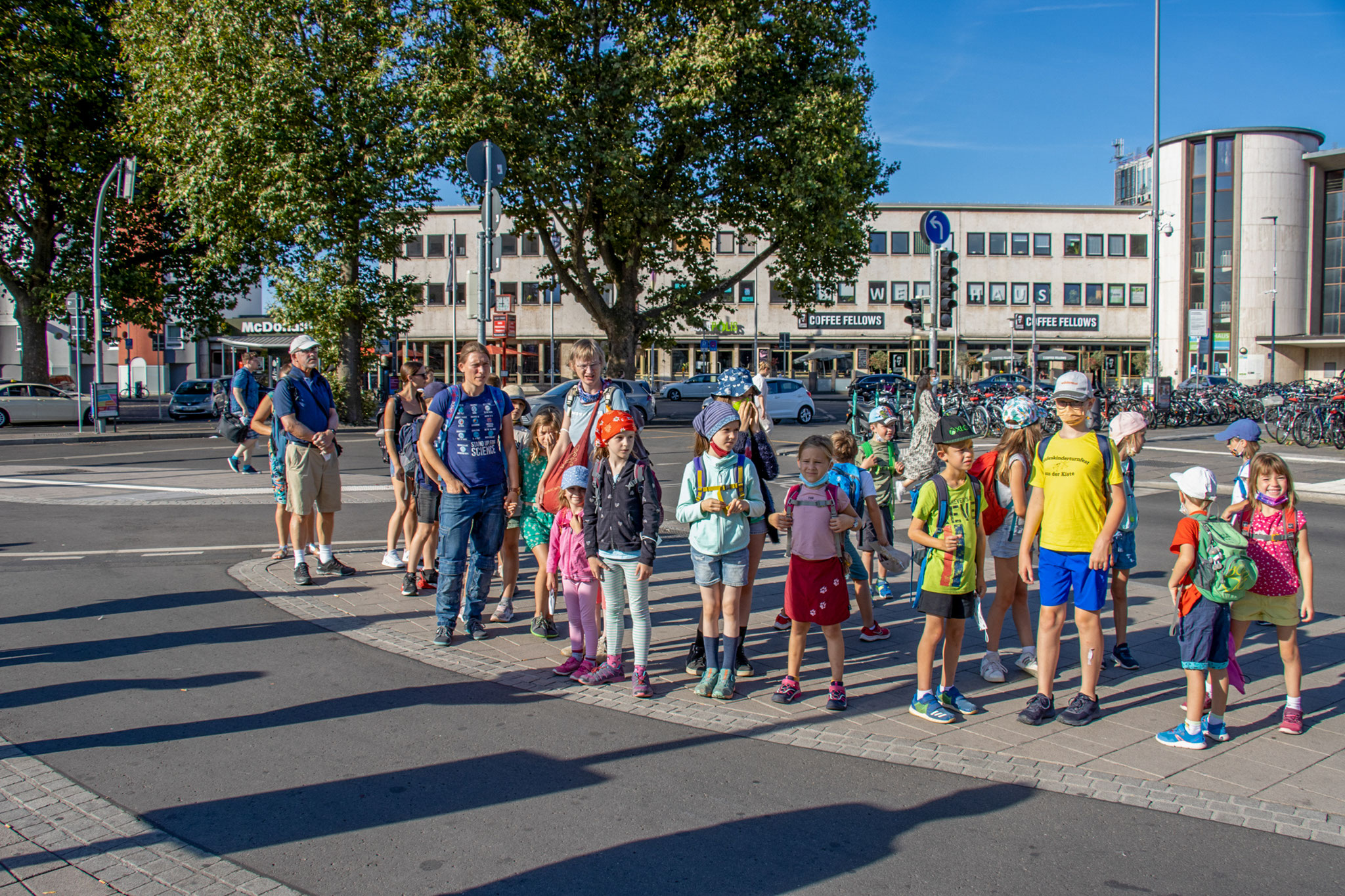 Mit Bus und Bahn auf den Königstuhl (Foto: B. Budig)