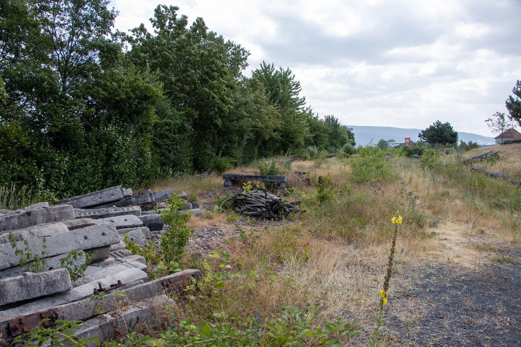 Bahnschwellen und Holzhaufen für Eidechsen (Foto: B. Budig)