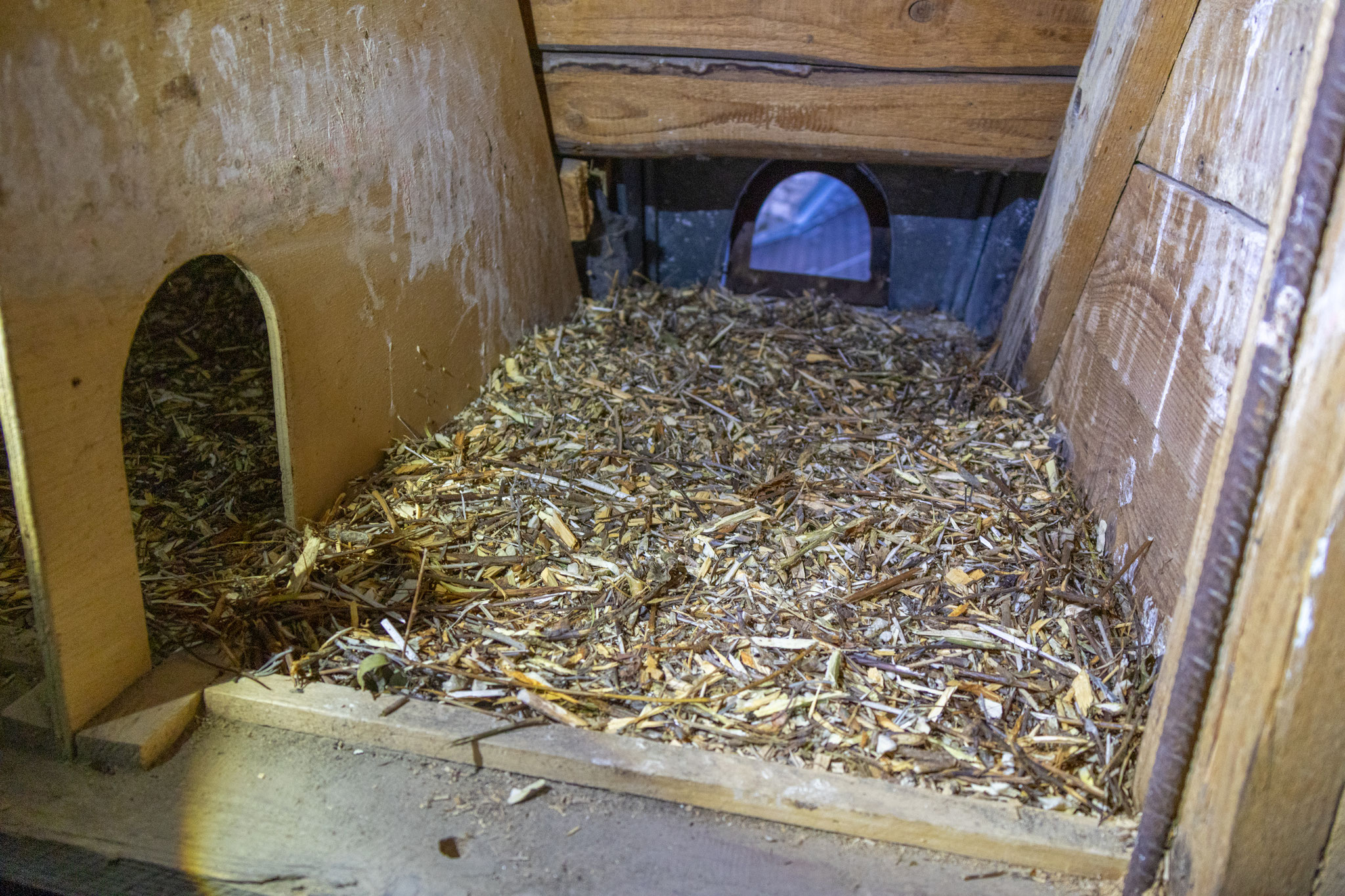 Gereinigter Kasten mit Einstreu (Foto: B. Budig)