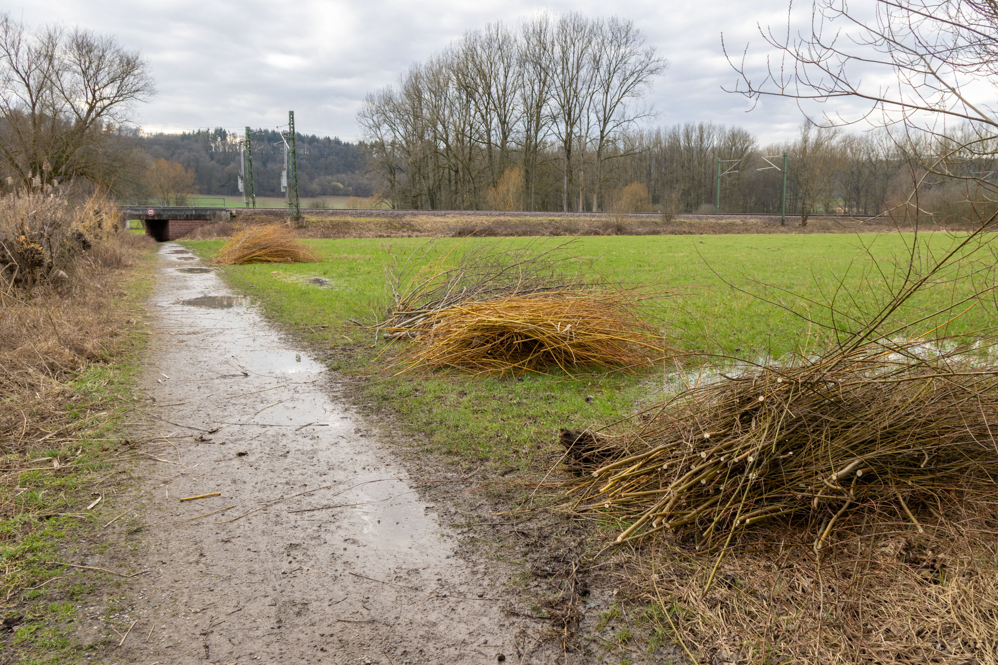 Schnittgut am Wegesrand (Foto: B. Budig)