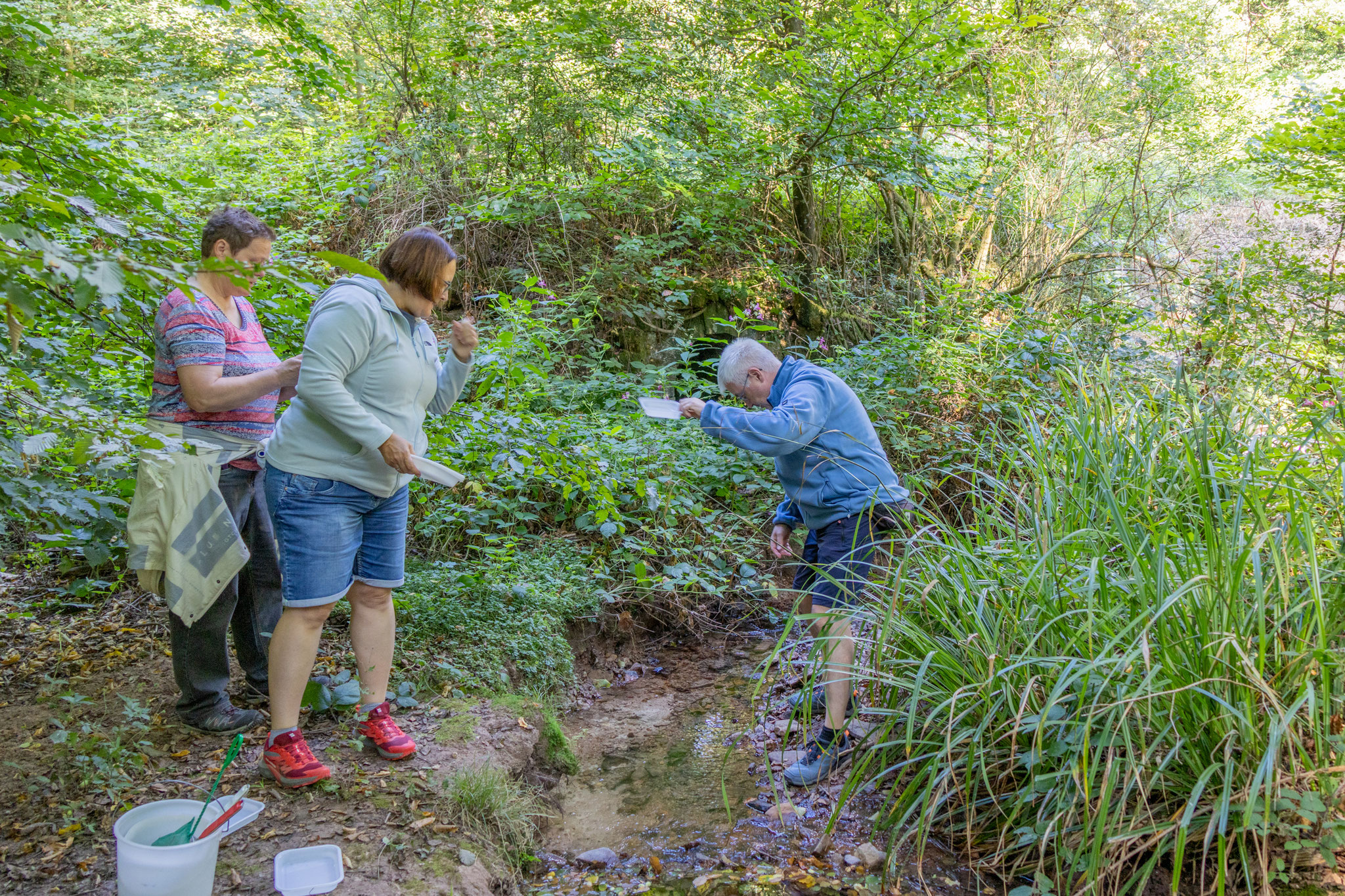 Zuerst werden die Schalen mit Wasser gefüllt (Foto: H. Budig)
