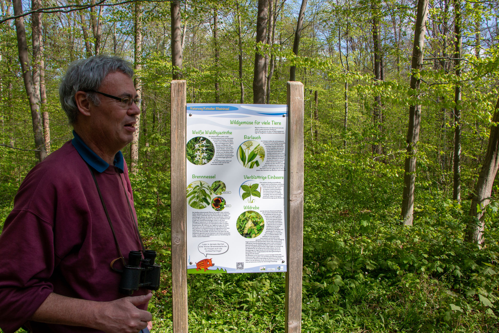 Rainer an Infotafel "Wildgemüse für viele Tiere" (Foto: B. Budig)