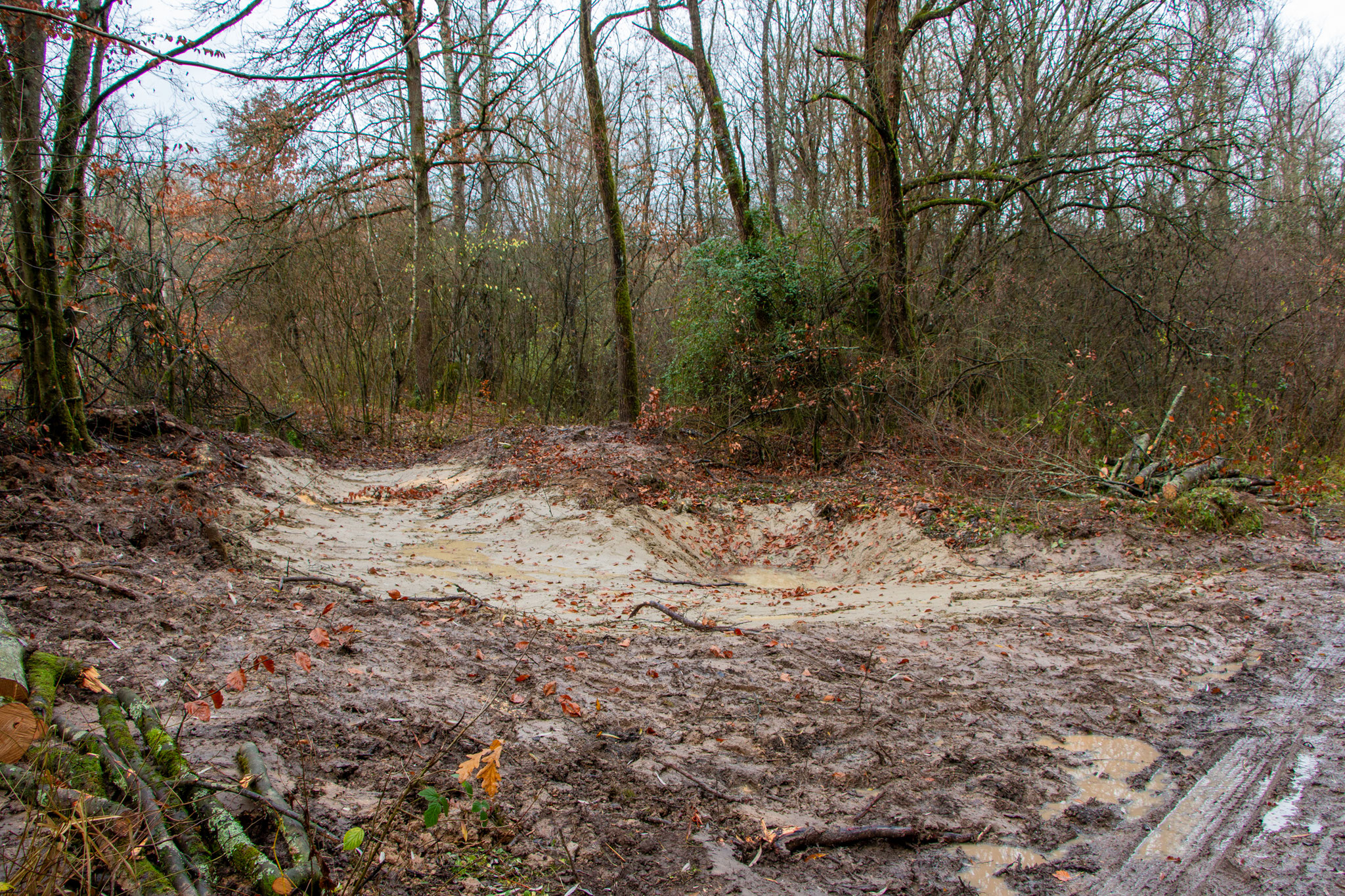 Fertige Neuanlage des Gewässers im Dezember 2021 (Foto: B. Budig)