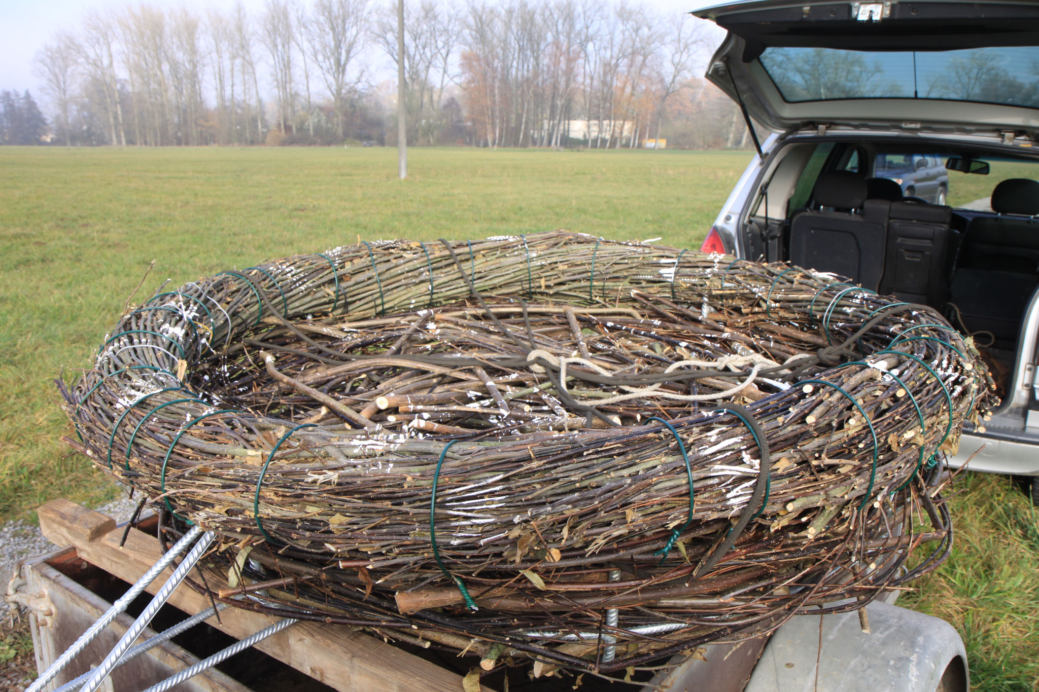 fertiges Nest mit "Gebrauchsspuren" (Foto: B. Budig)