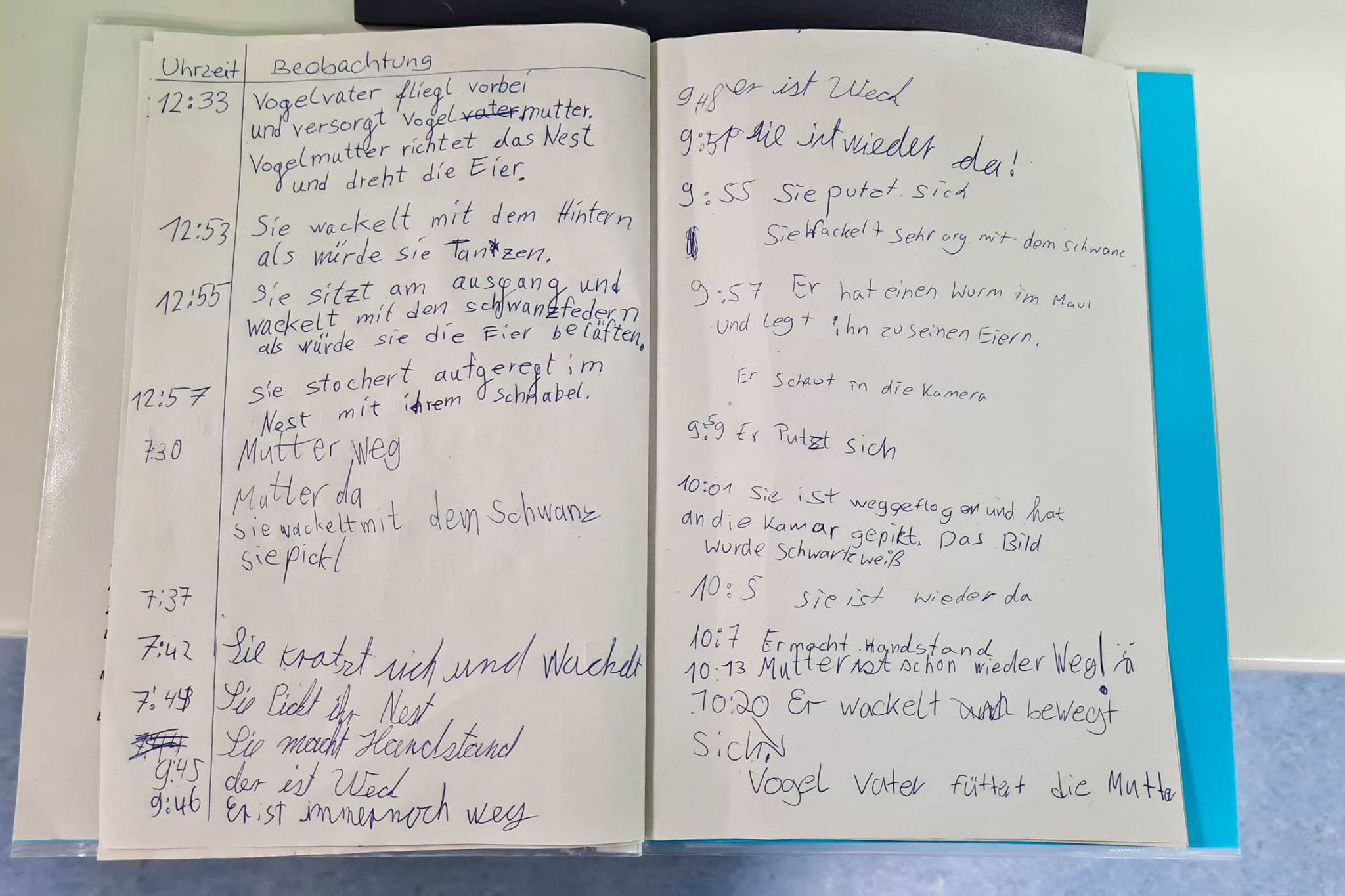 Beobachtungen der Grundschulkinder (Foto: B. Budig)