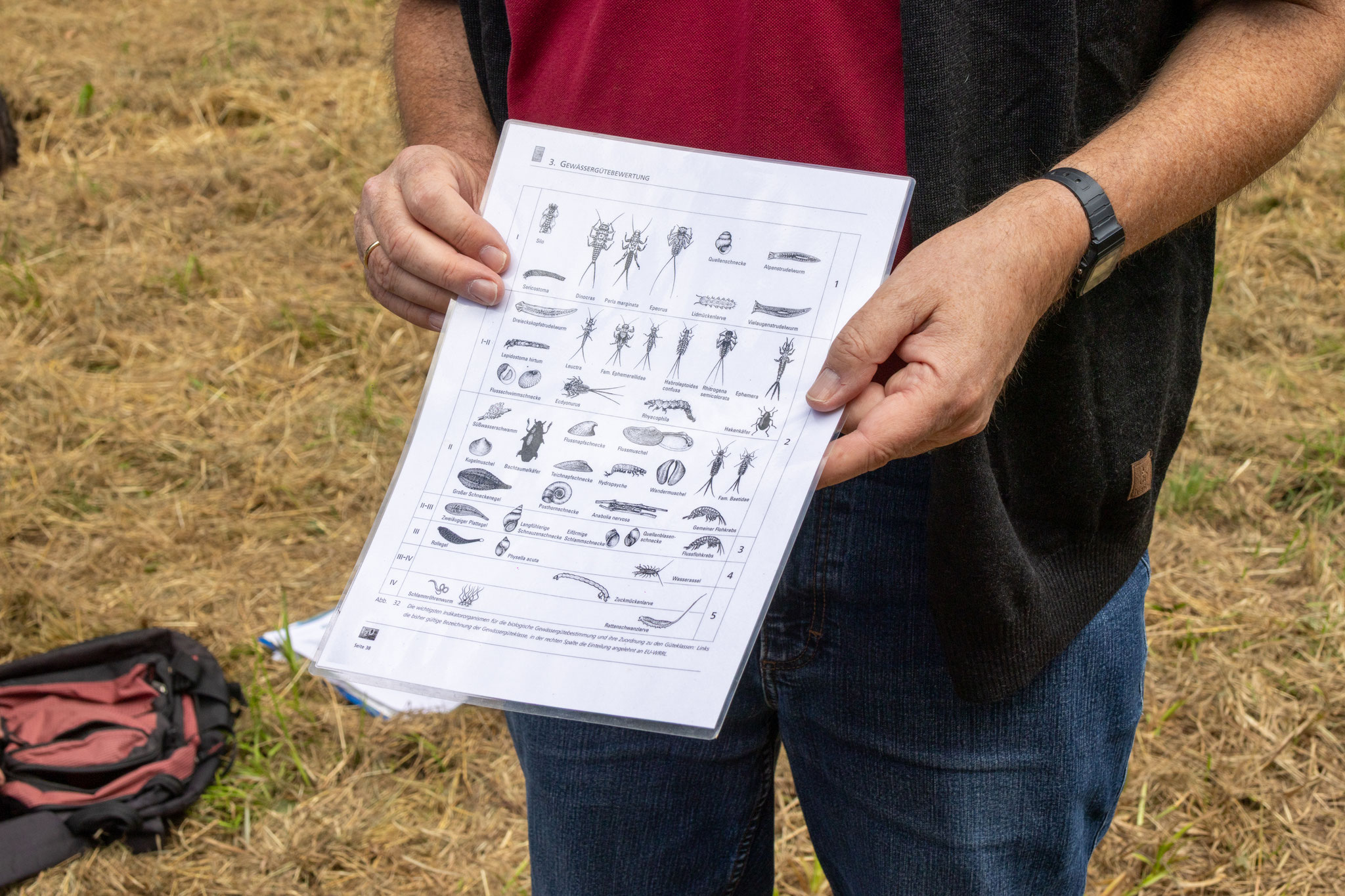 Einordnung der Gewässergüte anhand ökologischer Funde ... (Foto: H. Budig)