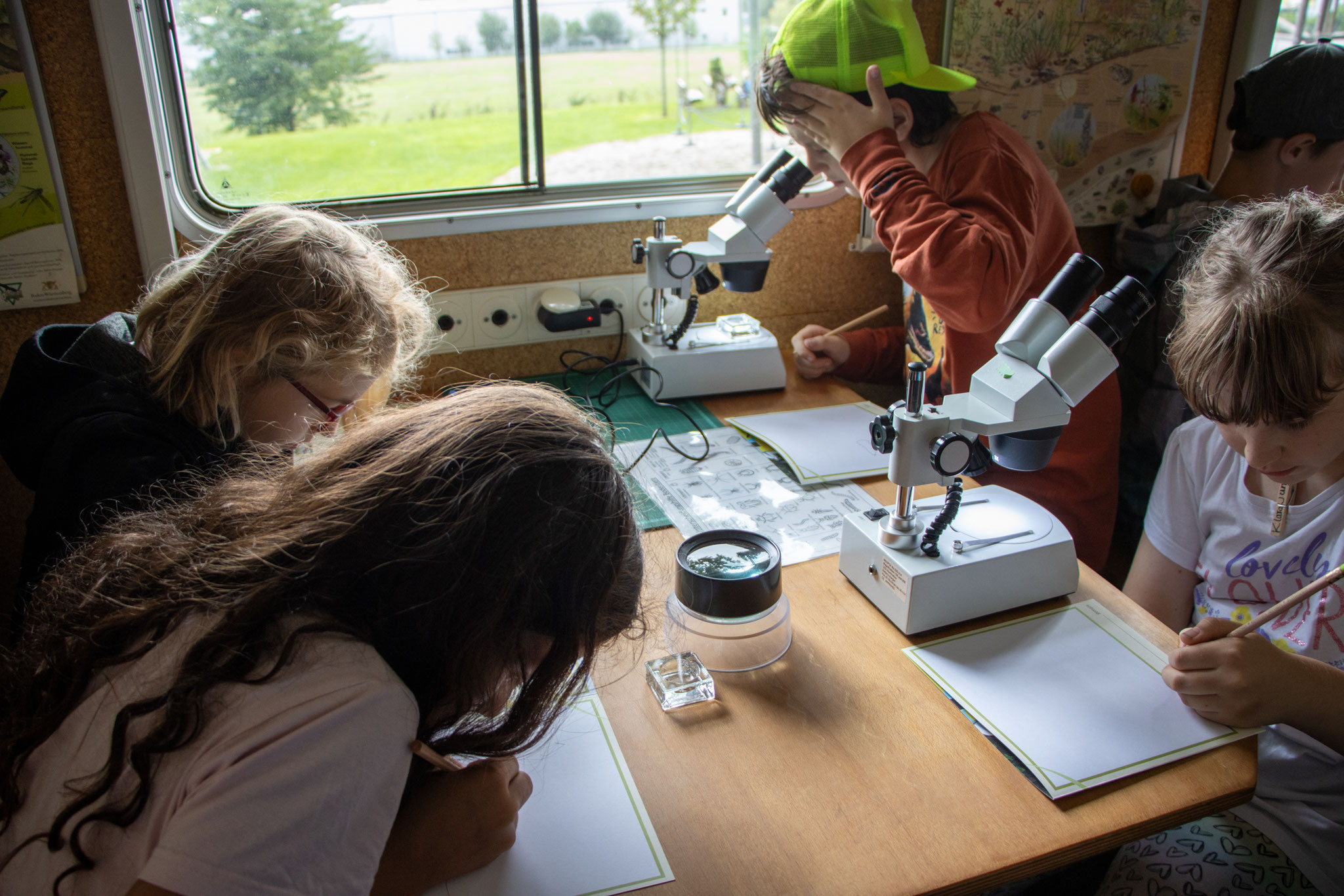 Junge Naturforscher am Werk (Foto: H. Budig)