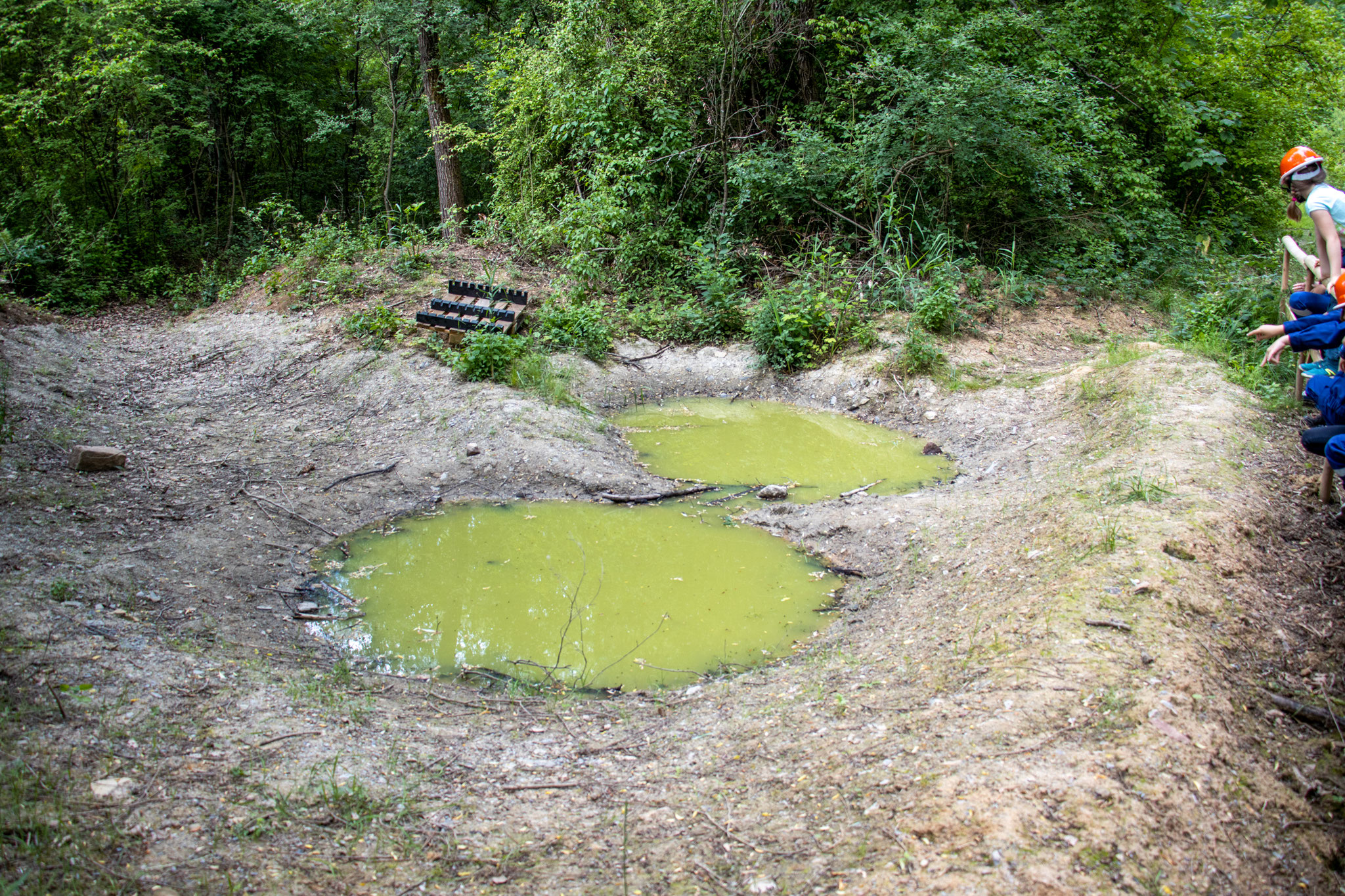 Teich vor Füllung (Foto: B. Budig)