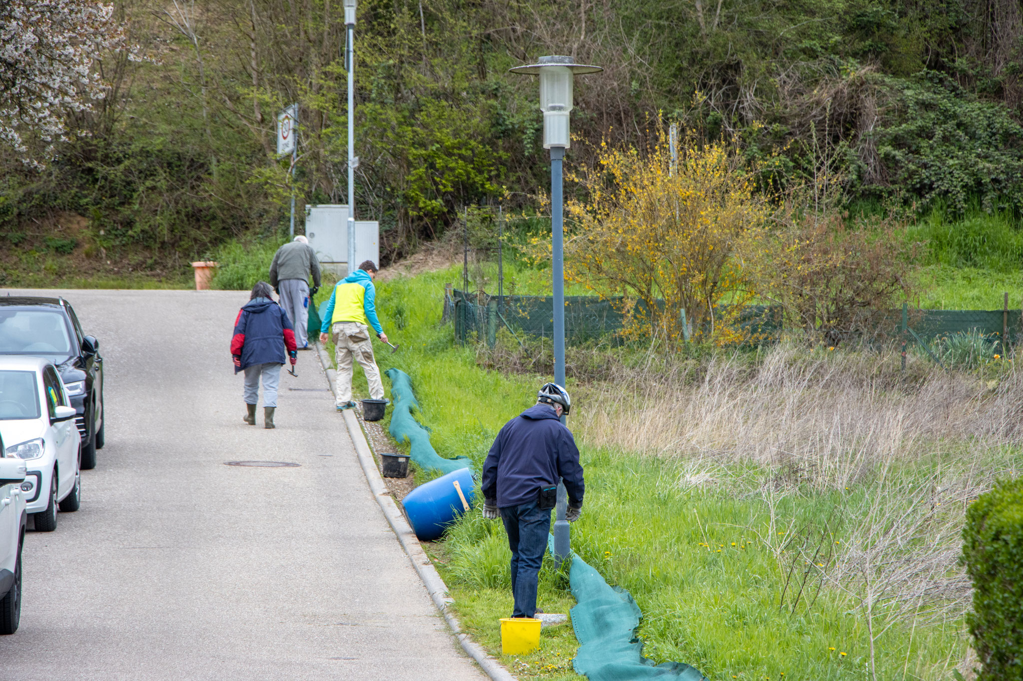 Entfernen der Heringe/Bodenanker (Foto: B. Budig)