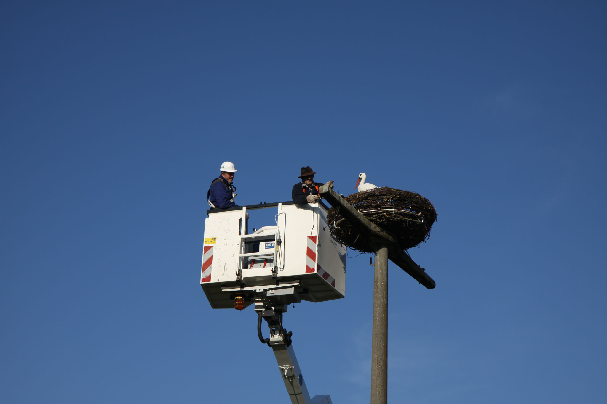 Befestigen des Nestes (Foto: B. Budig)