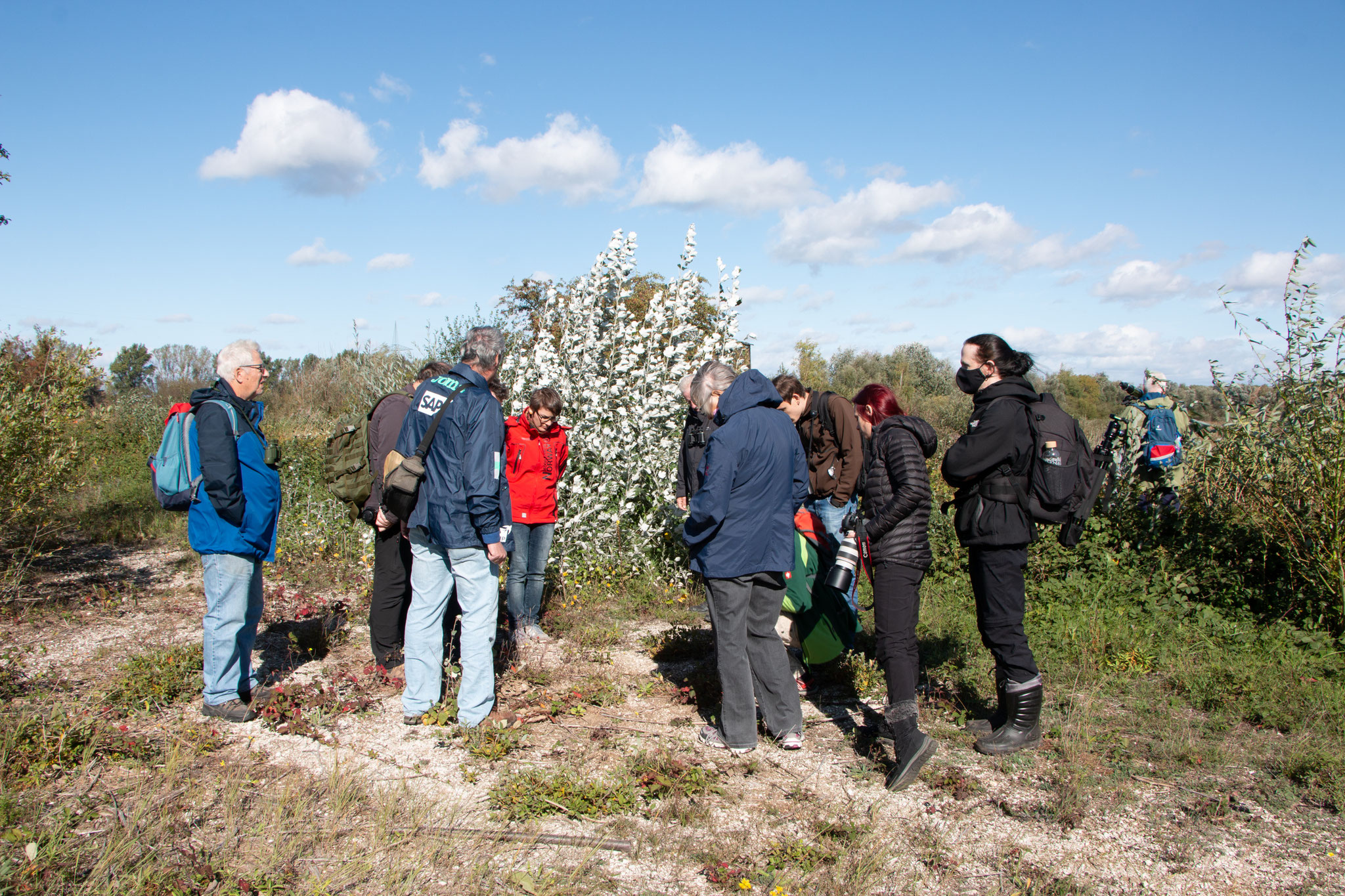 Auf der Suche nach der blauflügeligen Ödlandschrecke (Foto: B. Budig)