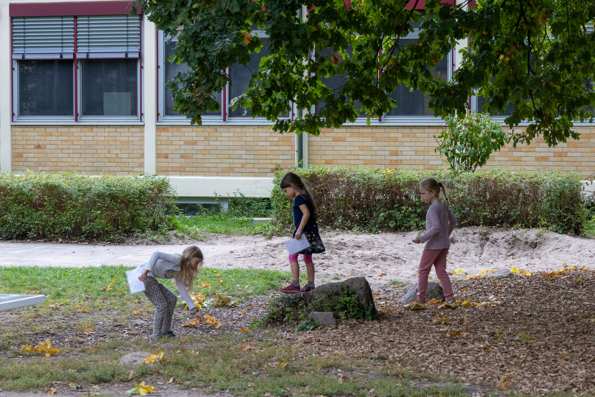 Baumfrüchte-Suchspiel: Wer findet Eicheln, Haselnuss und Co.? (Foto: Malte Budig)