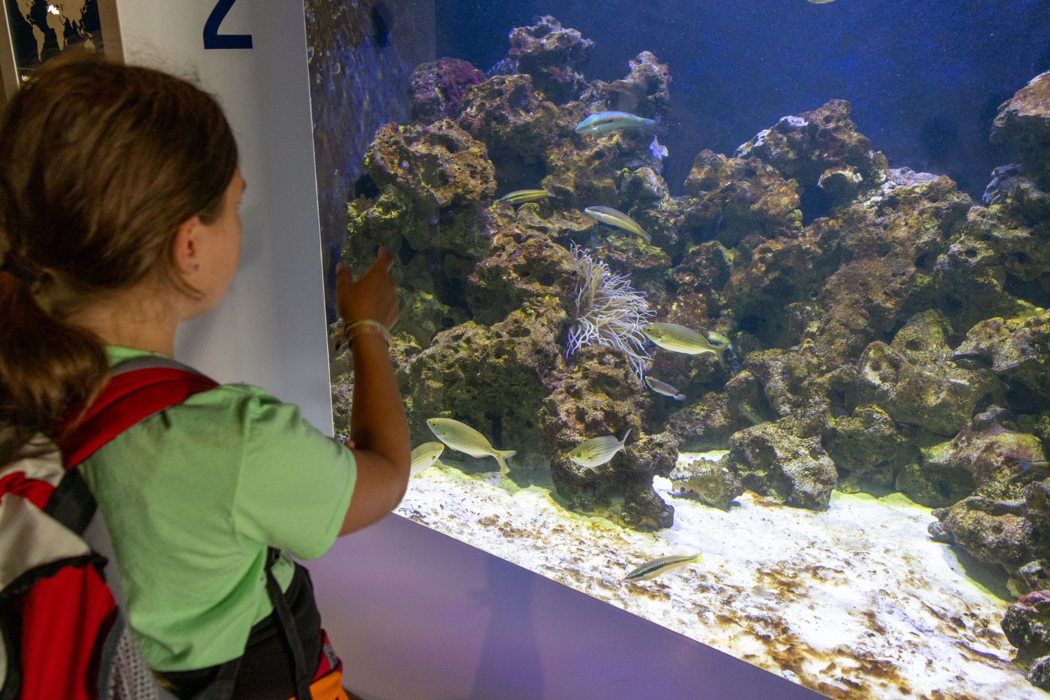 In der Unterwasserwelt (Foto: B. Budig)