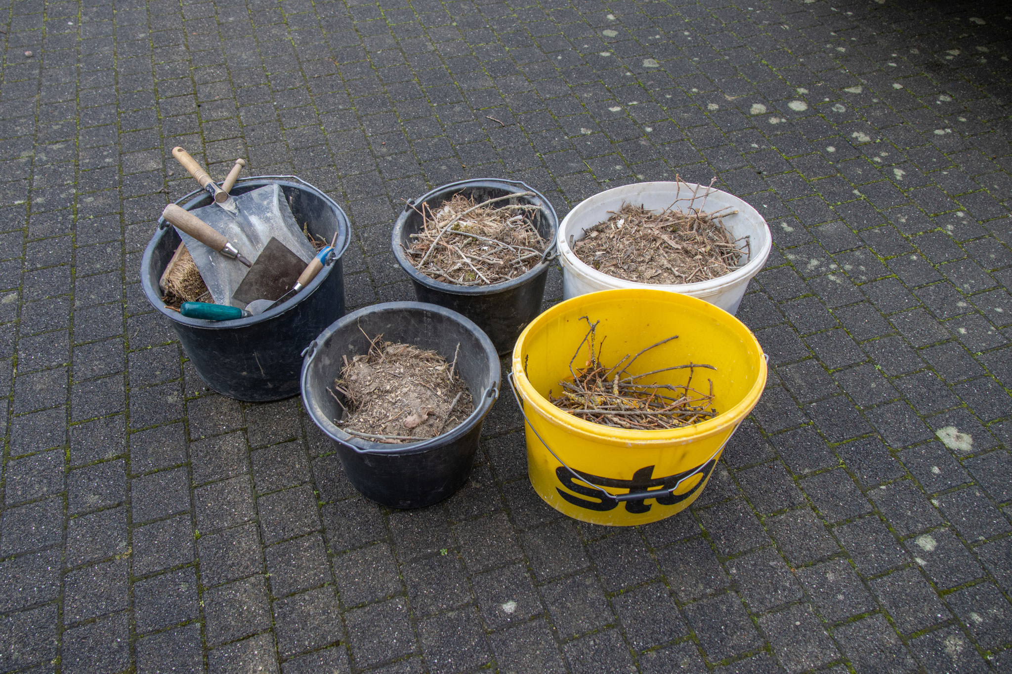 Mehrere Eimer sind zusammen gekommen (Foto: H. Budig)