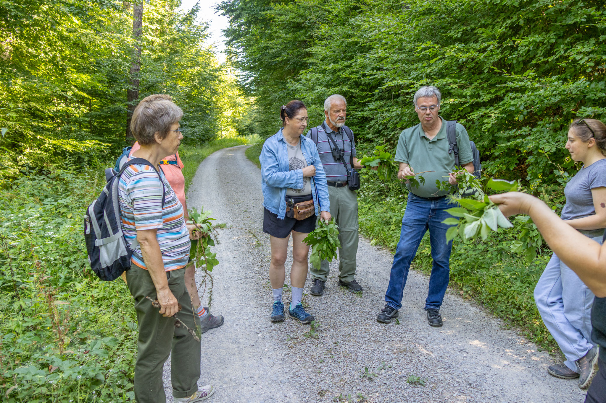 Welche Pflanzen sind Bäume und Sträucher? (Foto: B. Budig)