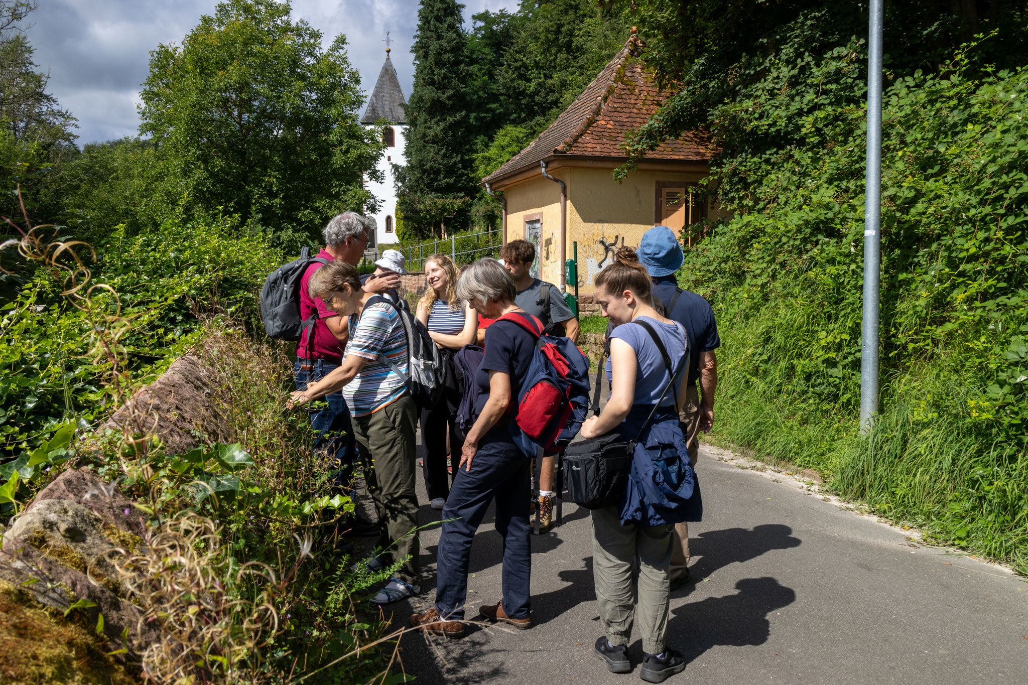 Was wächst denn da? (Foto: B. Budig)