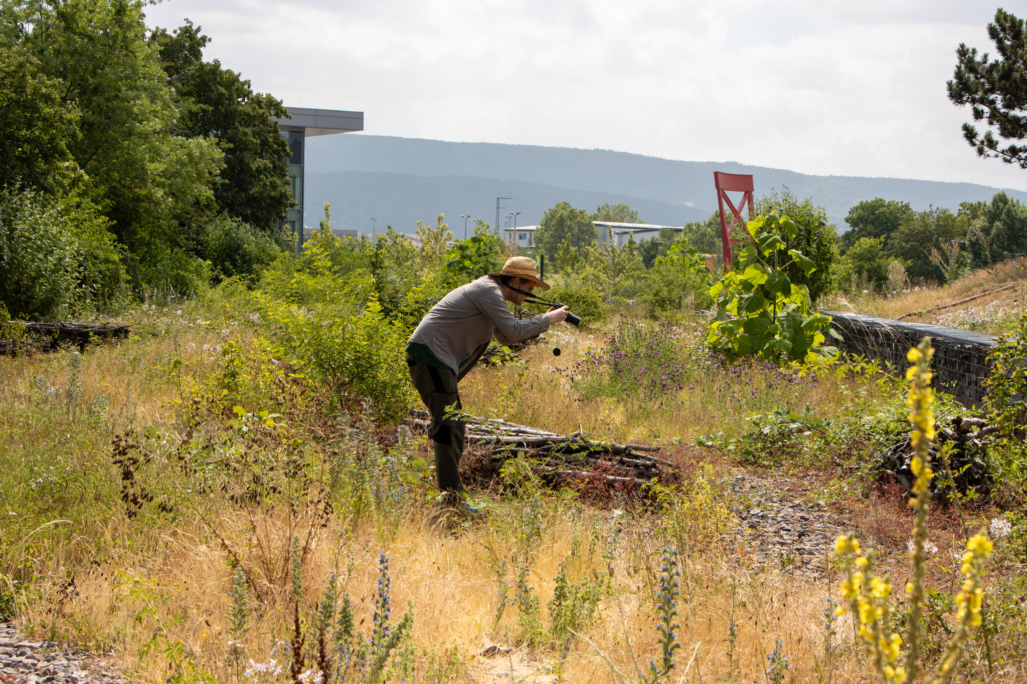 Insekten im Fokus (Foto: B. Budig)