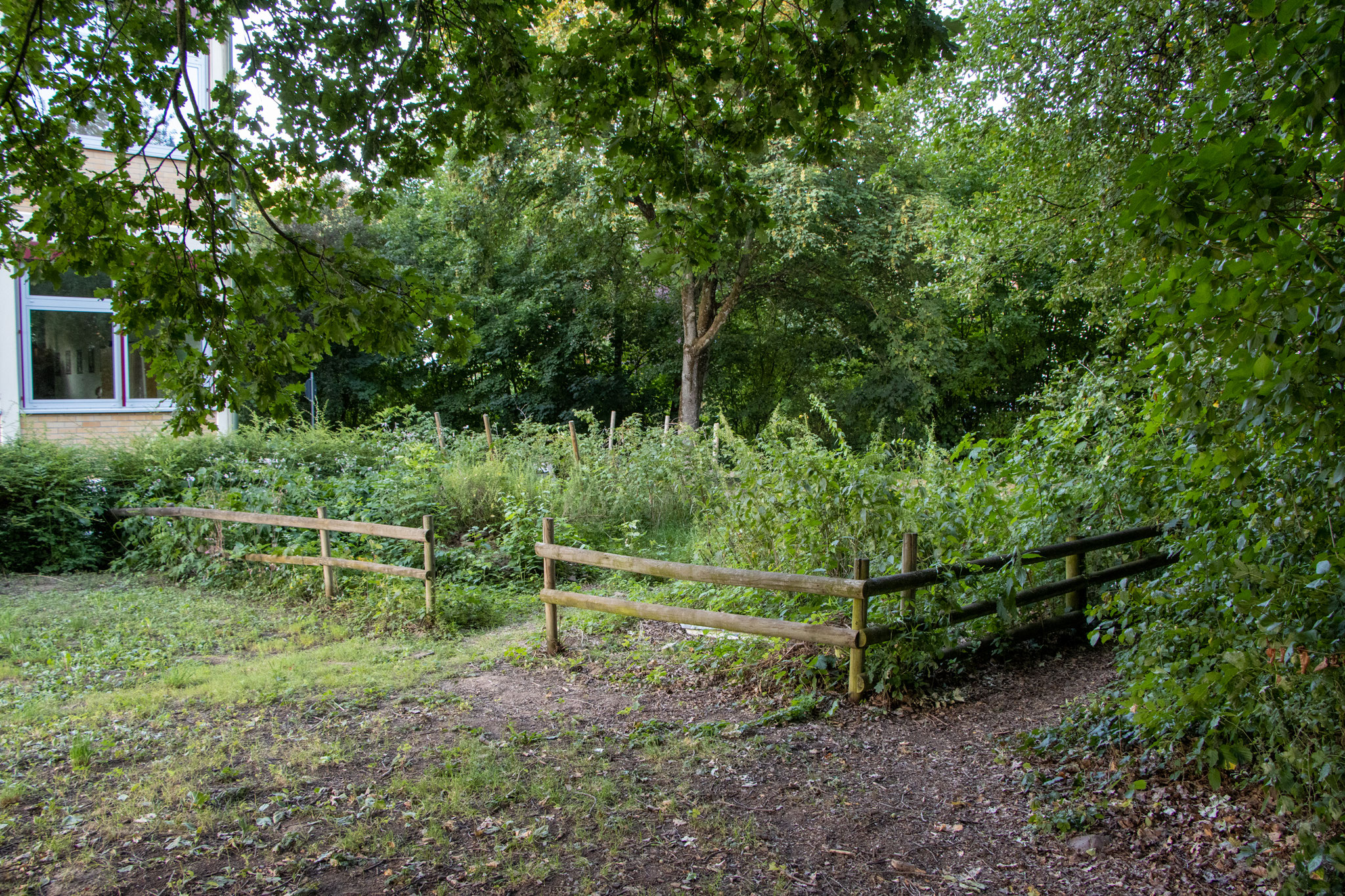 Schulgarten vor der Neugestaltung (Foto: B. Budig)