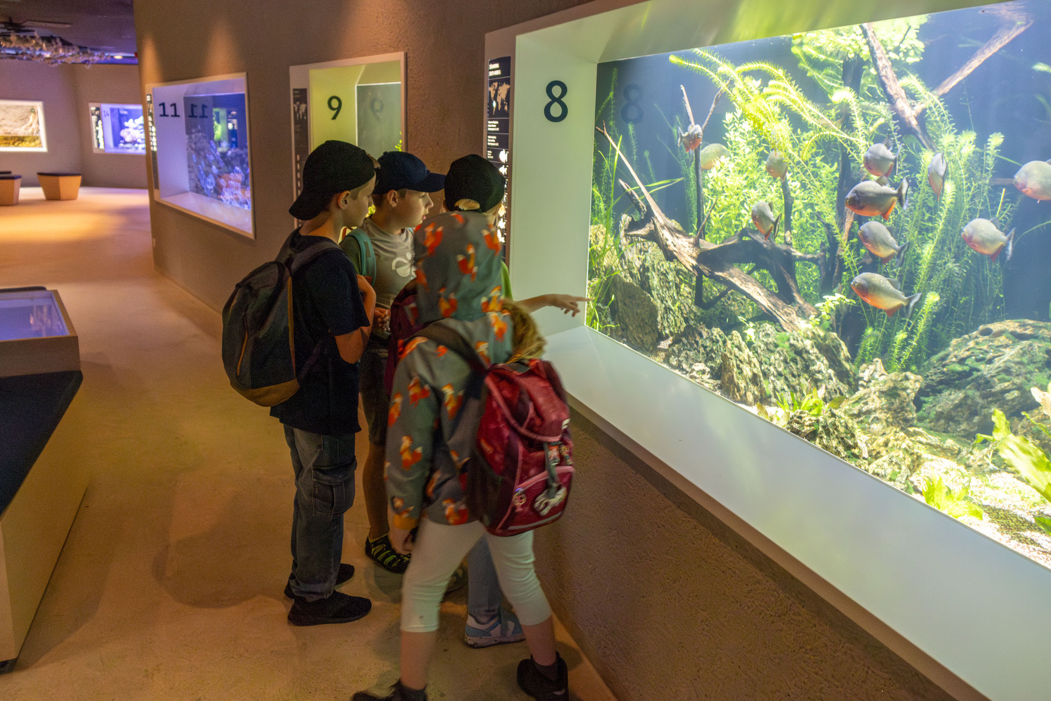 Besuch im neuen Aquarium (Foto: B. Budig)
