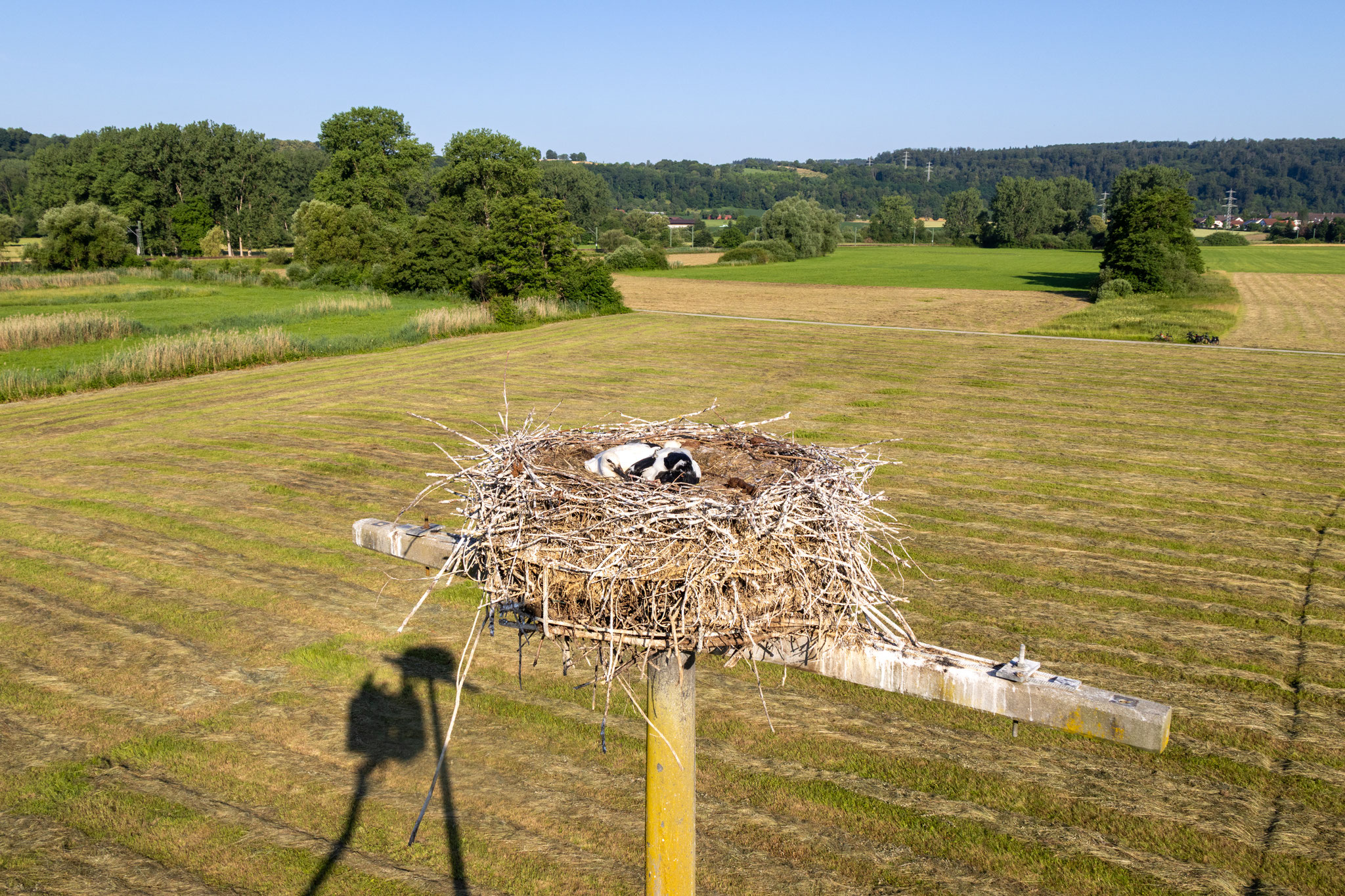 (Foto: H. Budig)