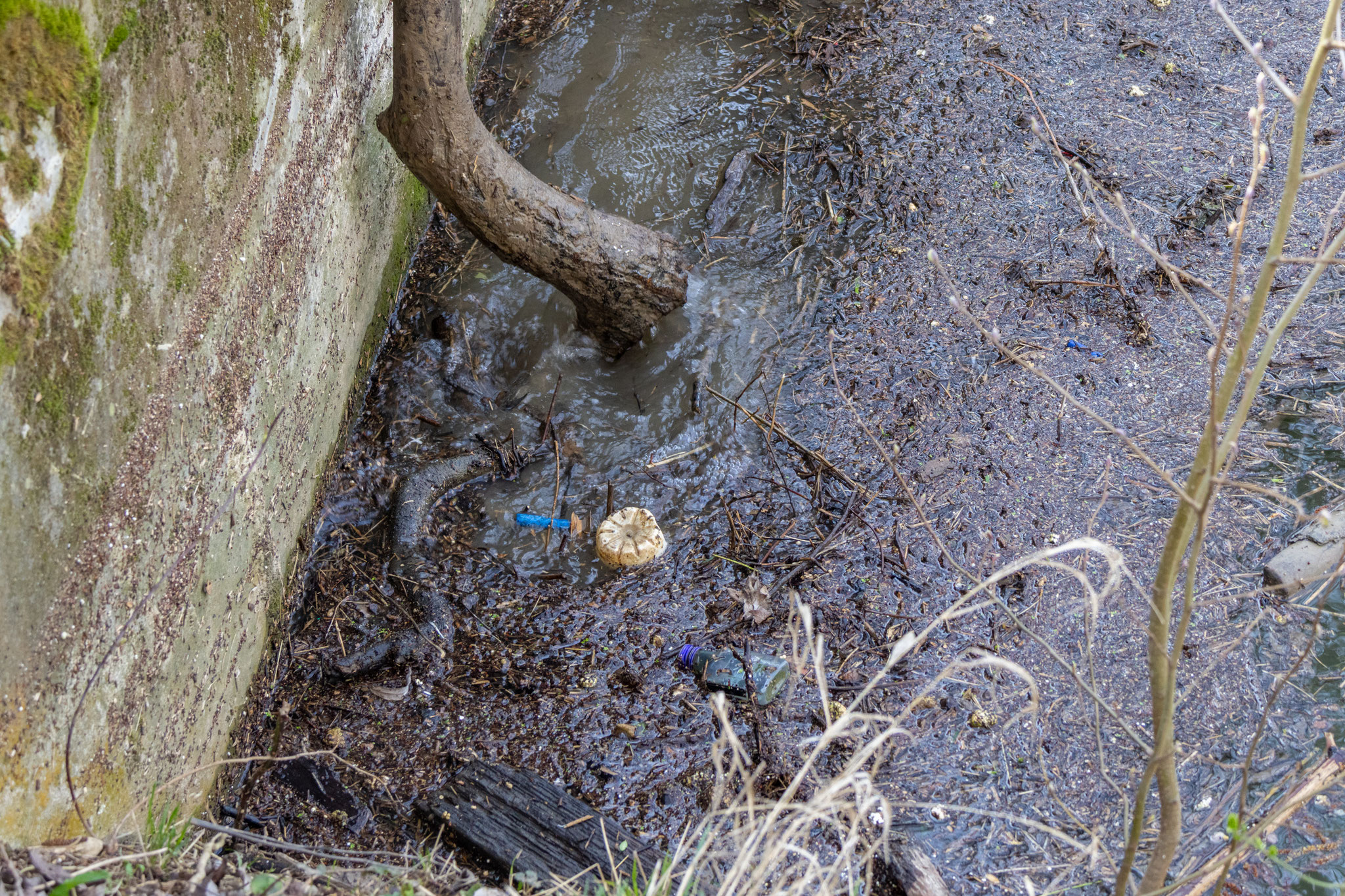 Objekte der Begierde: Flaschen, Styropor und Co. (Foto: H. Budig)