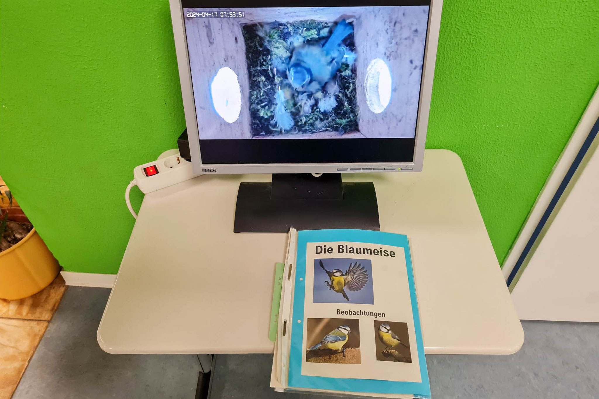 Blaumeisentagebuch in der Norbert-Preiß-Schule (Foto: B. Budig)