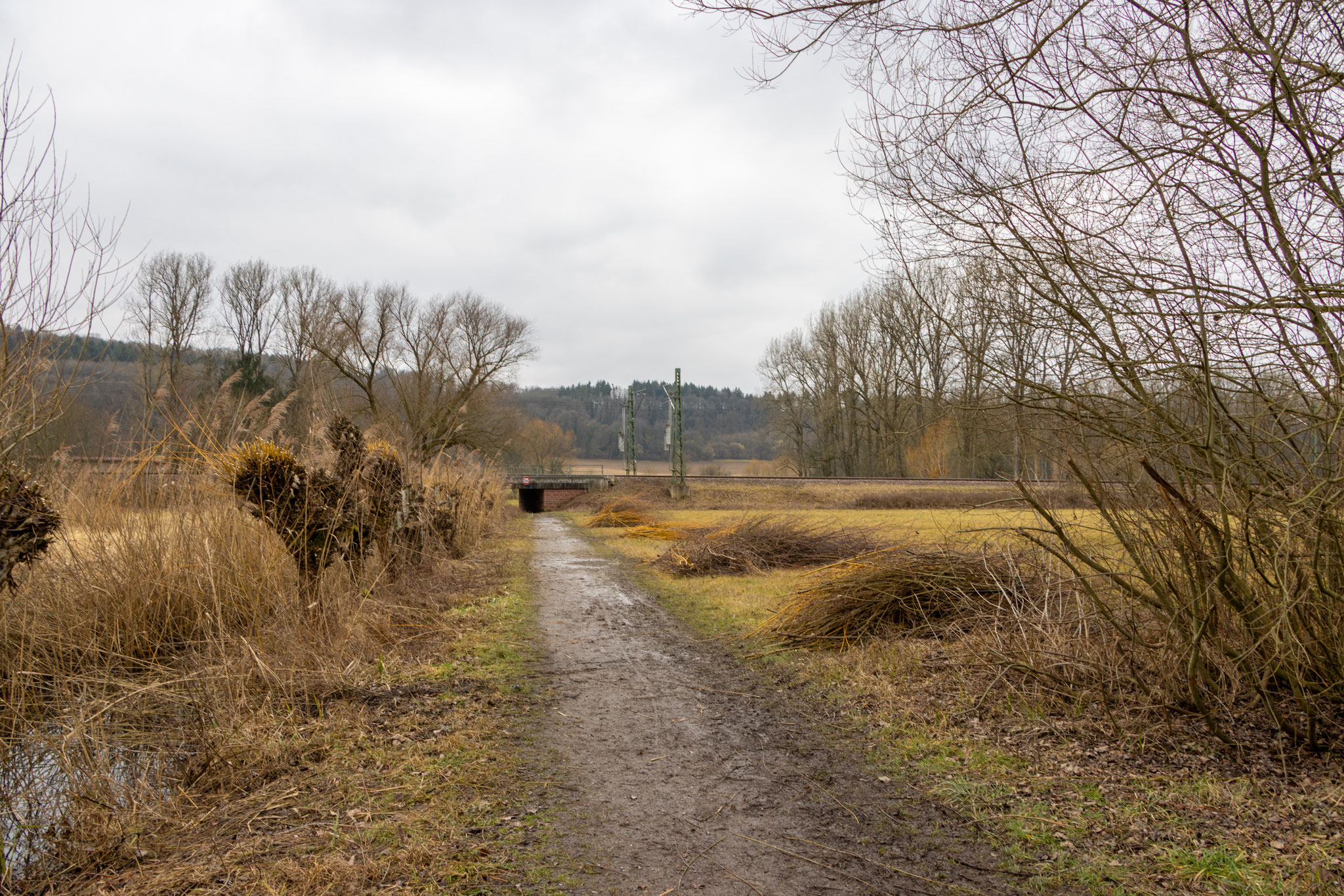 Ganz schön viel geschafft (Foto: B. Budig)