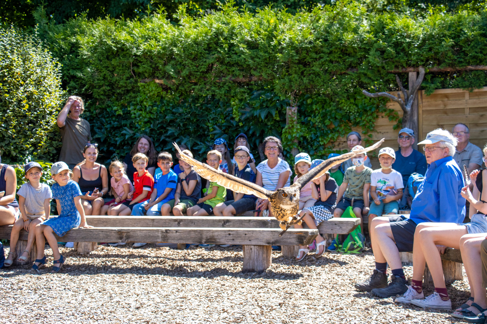 Lautloser Flug - der Uhu (Foto: B. Budig)