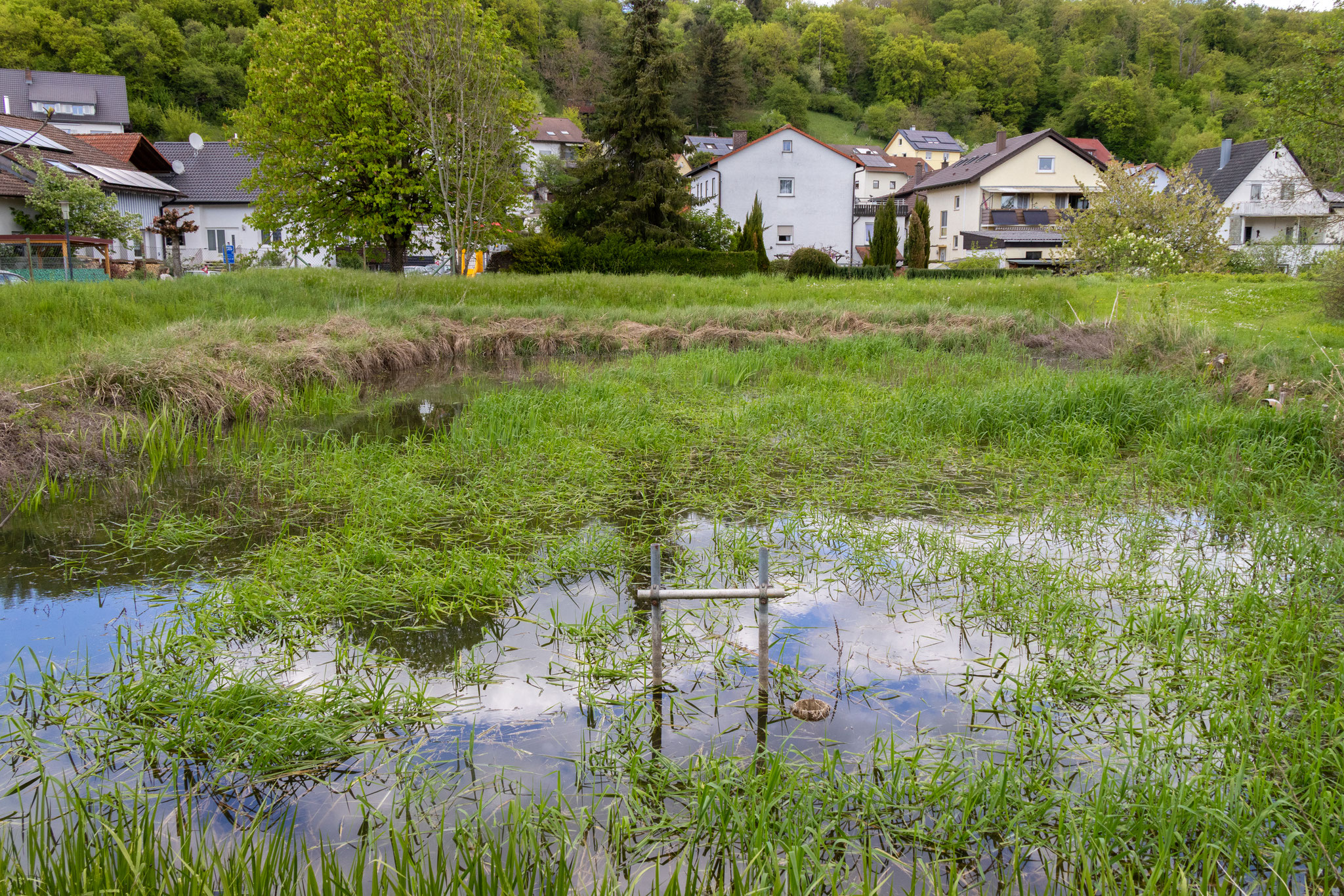 Kleiner Forstwaldteich (Foto: H. Budig)