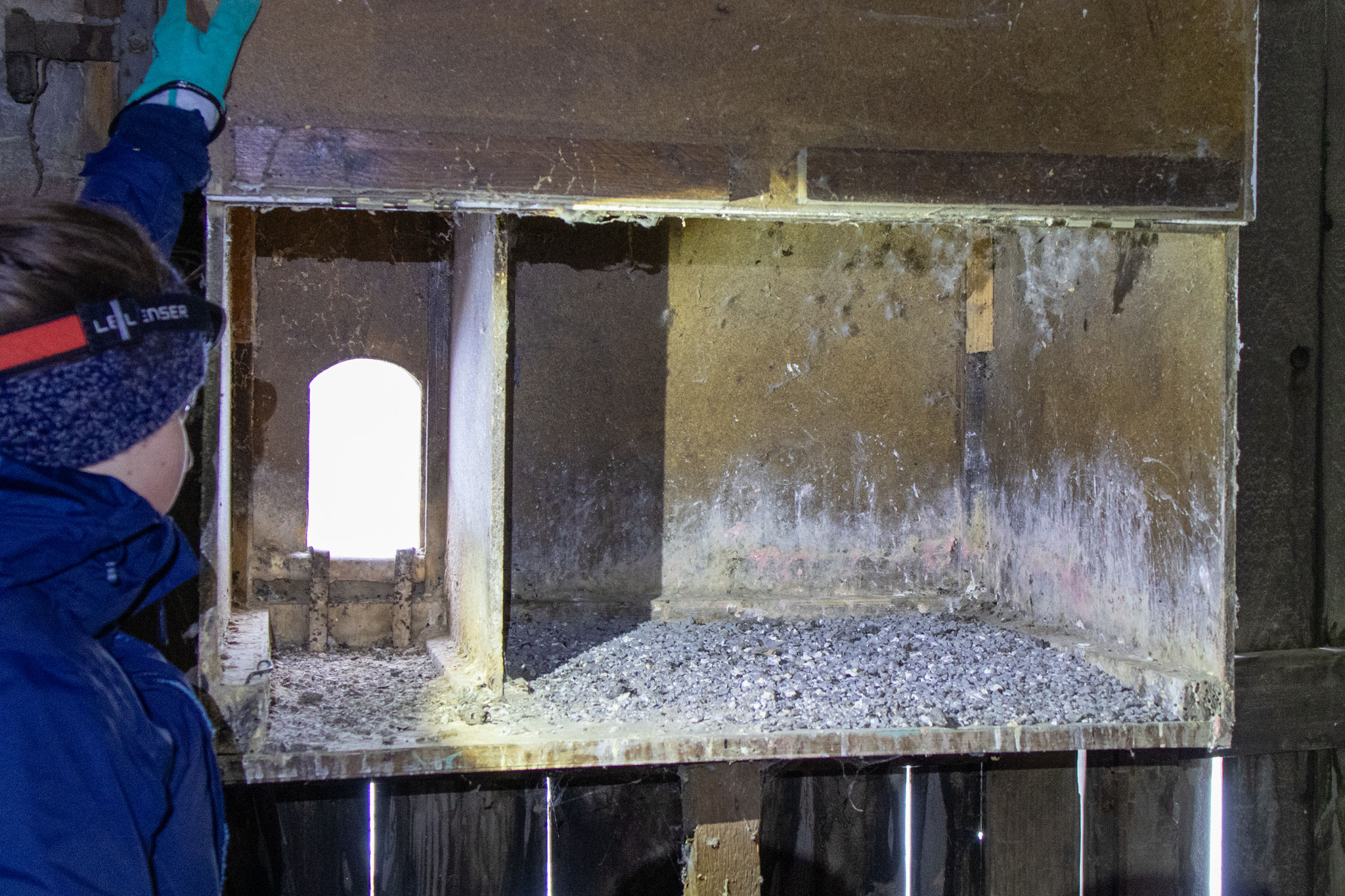 Fund: Kotspuren, Speiballen und Nahrungsreste (Foto: B. Budig)
