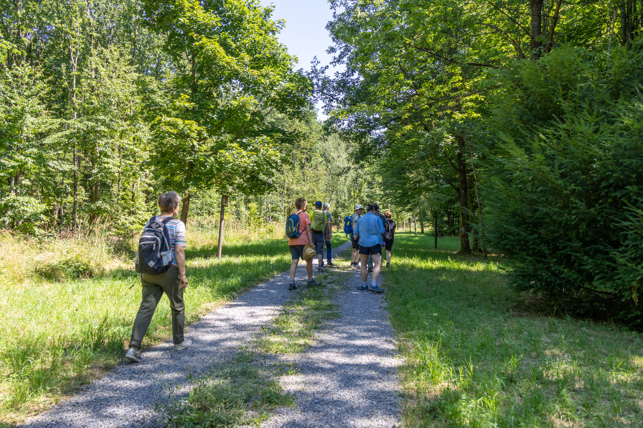 Unterwegs auf der Allee der "Bäume des Jahres" (Foto: H. Budig)