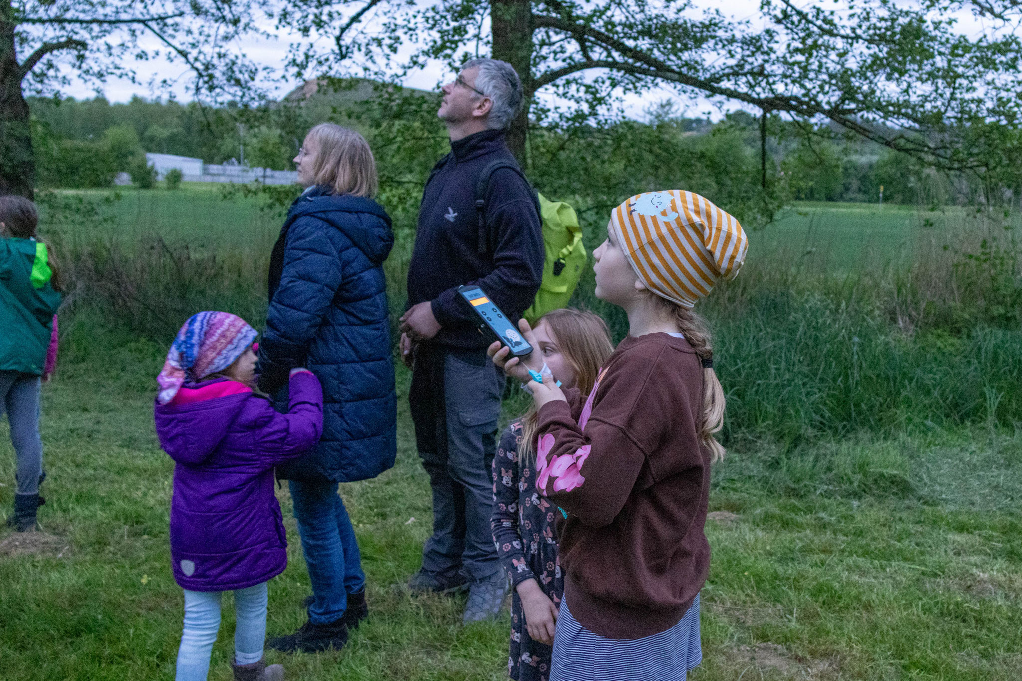 So hören sich die Rufe der Fledermäuse an ... (Foto: Malte Budig)