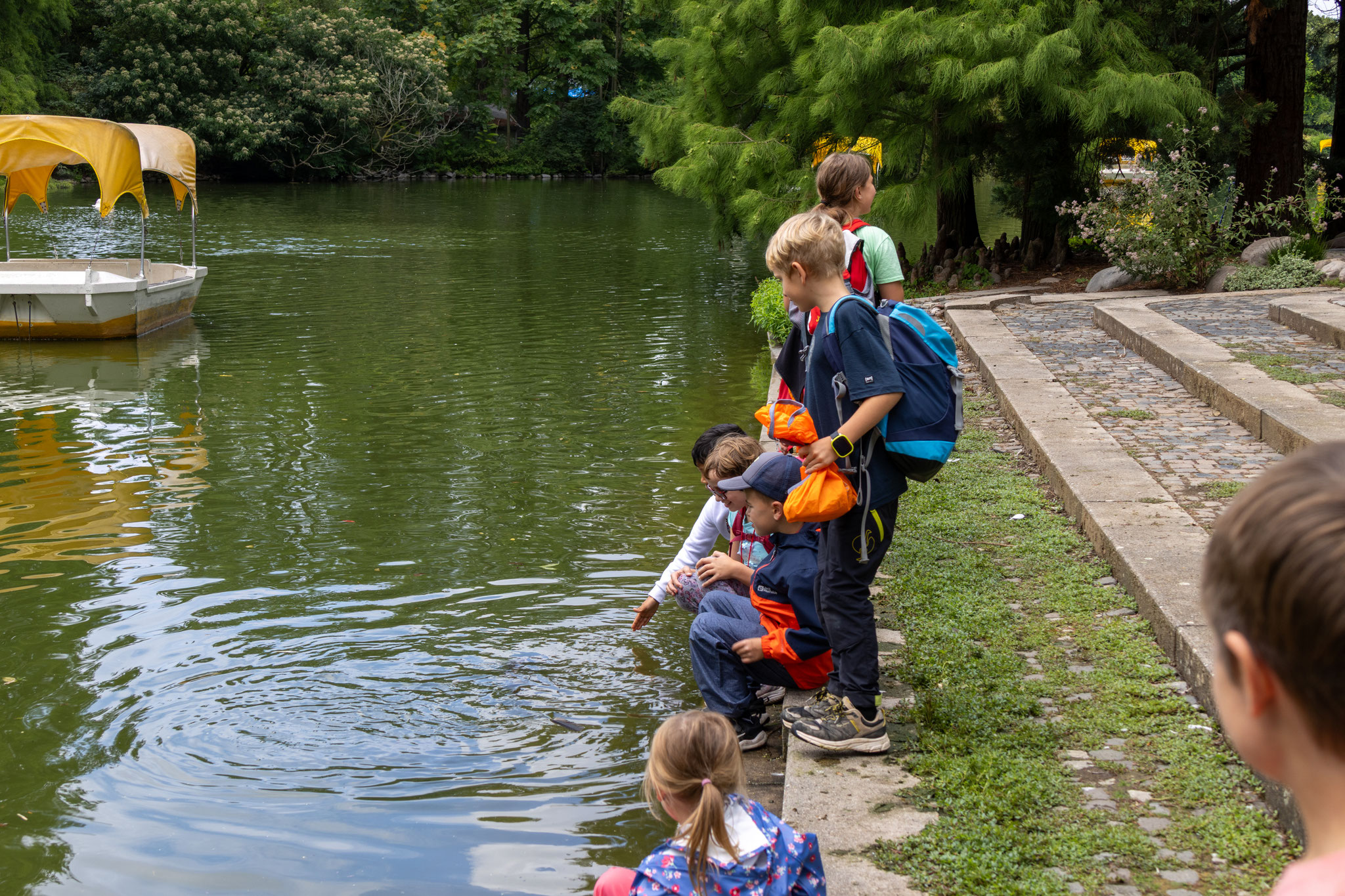 Kleines Highlight für die Kinder: Karpfenstreicheln im See (Foto: B. Budig)